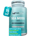 Herbtonics Sea Moss, Black Cumin Seed, Ashwagandha, Burdock Root & ACV Complex | Manage Immunity, Stress & Digestion Support | 60 Capsules (2 Capsules Per Serving) - TrustMedUSA