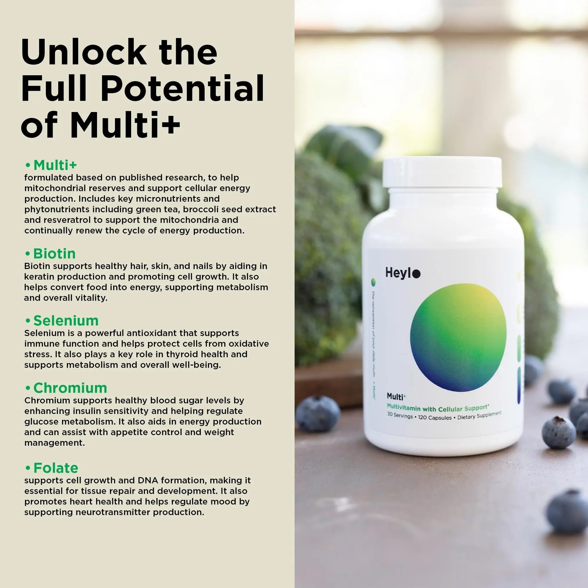 Heylo Multi+ Advanced Multivitamin Supplement – Boosts Energy, Enhances Immune Support, Provides Antioxidant Protection, Promotes Detoxification - TrustMedUSA