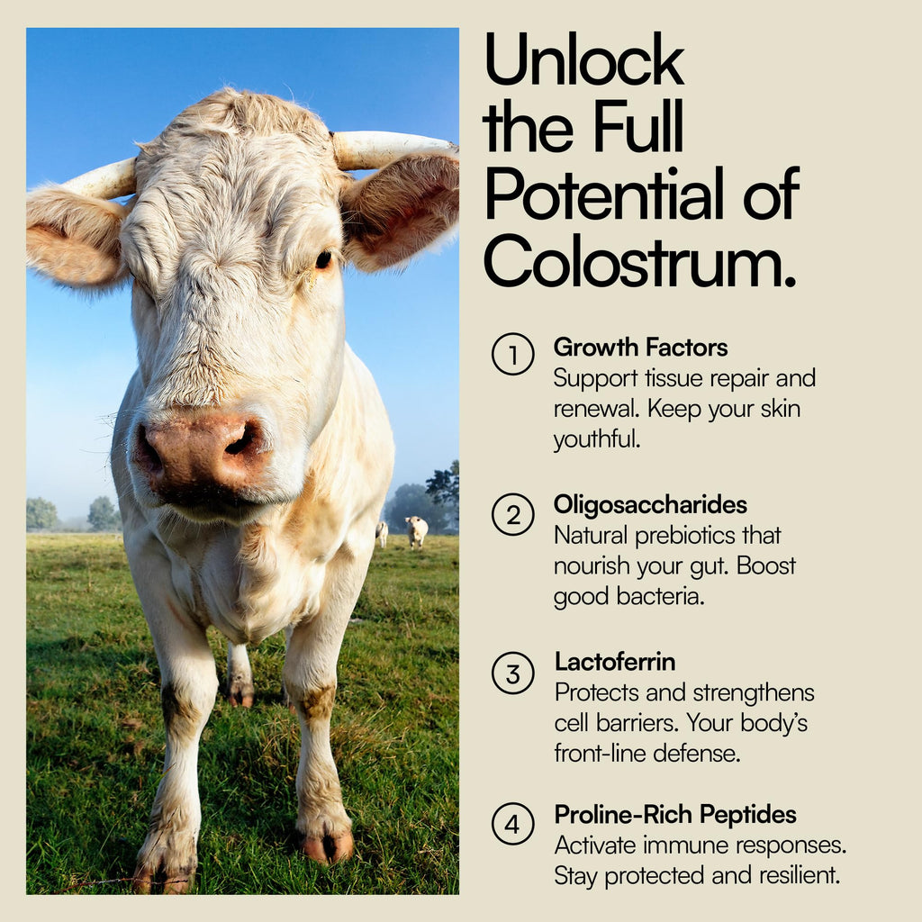 Heylo Premium Colostrum Powder – 100% Pure, Grass-Fed Bovine 40% IgG Supplement, Natural Gut Health Bloating Immunity Skin & Hair, Muscle Recovery, Rich in Immunoglobulins, 60 Servings - TrustMedUSA