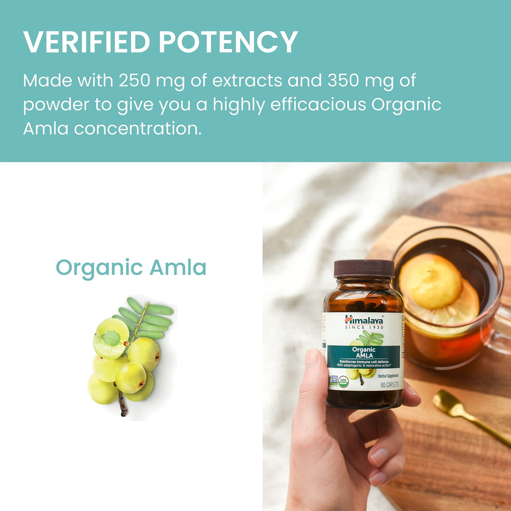 Himalaya Organic Amla - Herbal Immune Support Supplement with Adaptogen and Antioxidant - USDA Organic, Vegan - TrustMedUSA