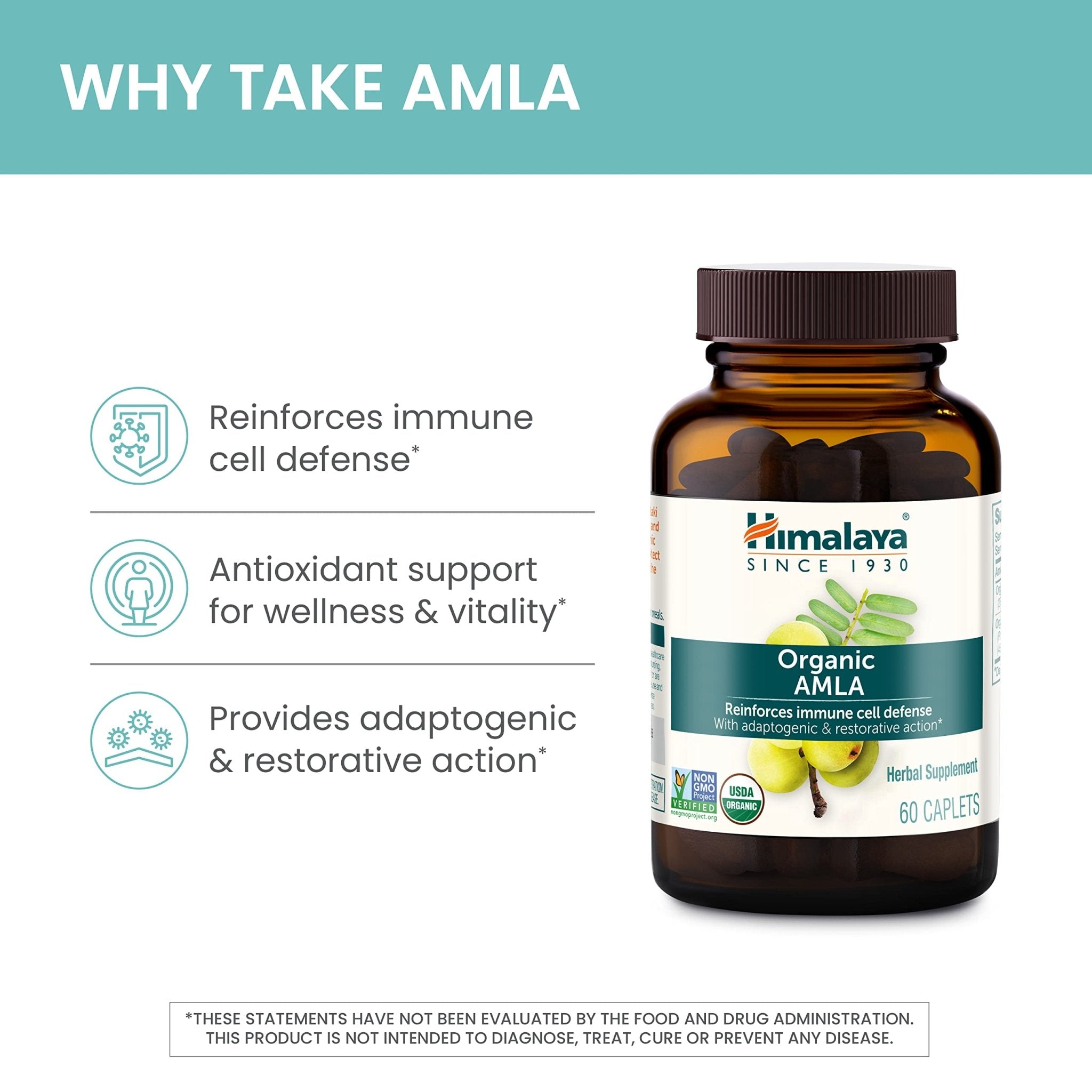 Himalaya Organic Amla - Herbal Immune Support Supplement with Adaptogen and Antioxidant - USDA Organic, Vegan - TrustMedUSA