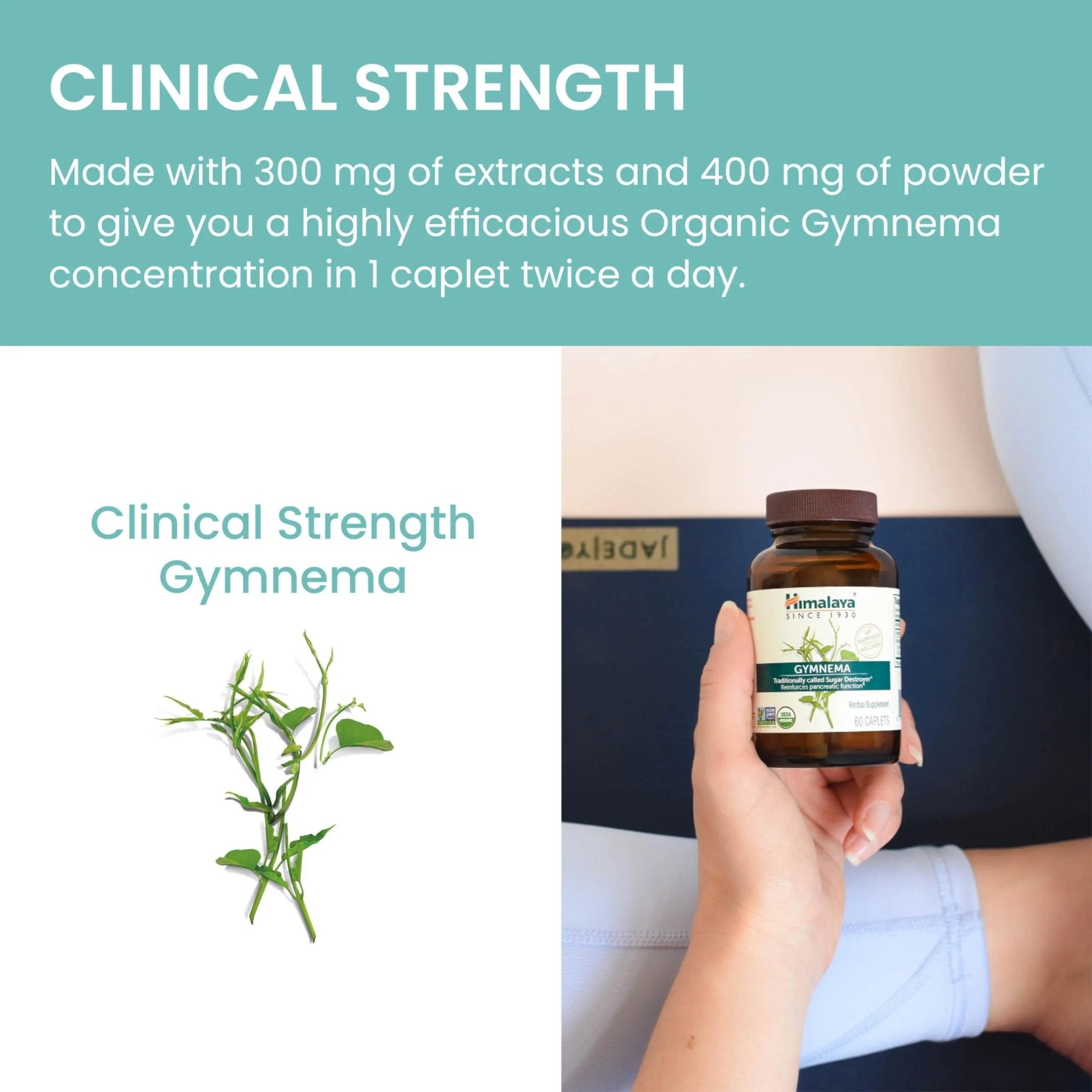 Himalaya Organic Gymnema Herbal Supplement for Weight Management, USDA Certified - TrustMedUSA