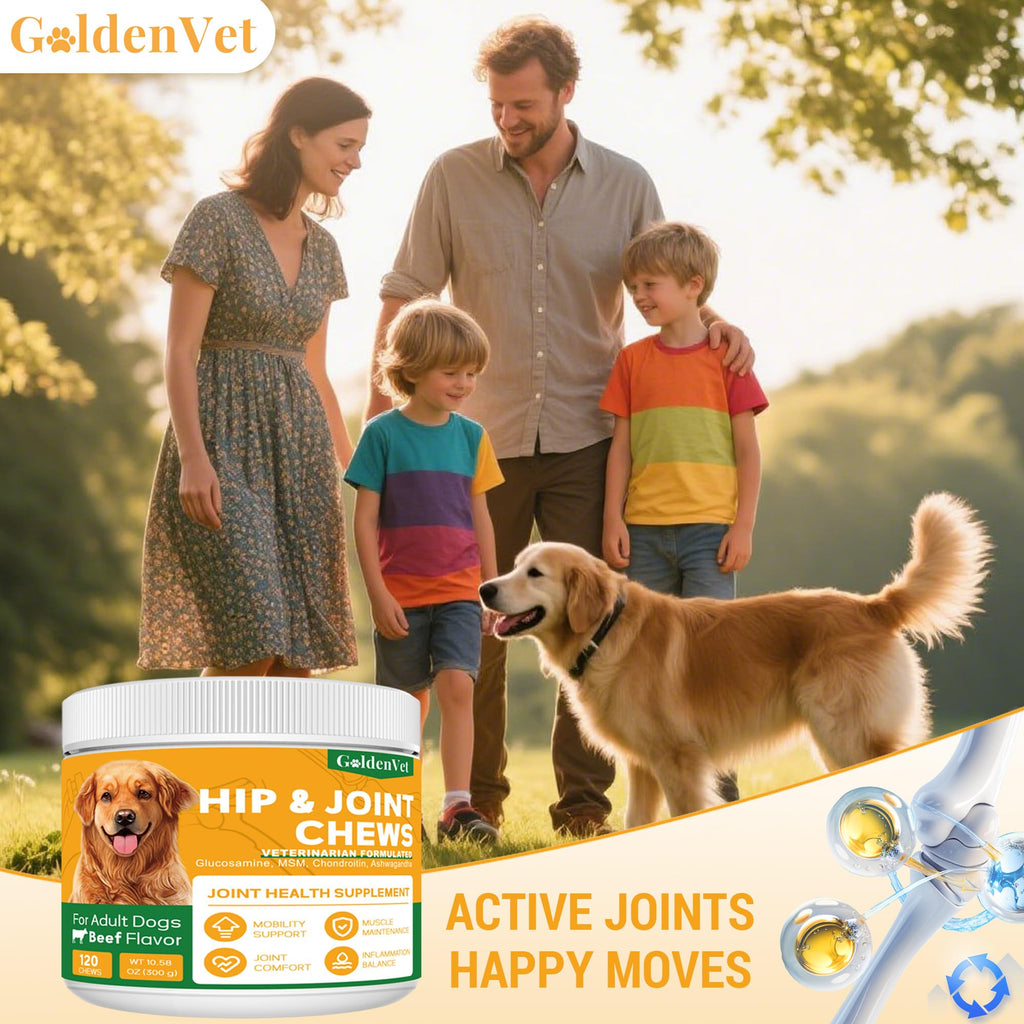 Hip and Joint Chews for Senior Dogs with Glucosamine HCL, Chondroitin, Green-lipped Mussel, Ashwagandha for Anti Inflammatory, Mobility Support, Muscle Maintenance, Joint Comfort 120 Ct - TrustMedUSA