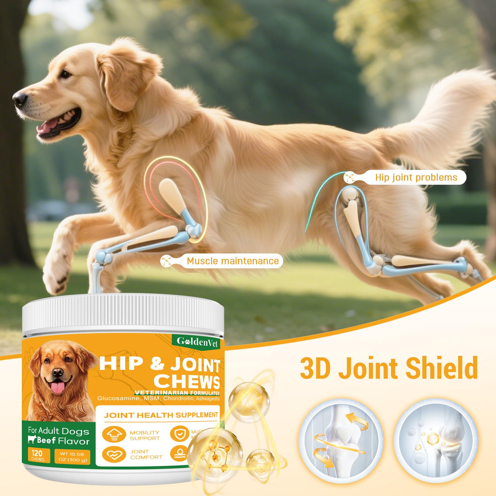 Hip and Joint Chews for Senior Dogs with Glucosamine HCL, Chondroitin, Green-lipped Mussel, Ashwagandha for Anti Inflammatory, Mobility Support, Muscle Maintenance, Joint Comfort 120 Ct - TrustMedUSA