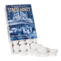 Historical Remedies Stress Mints (1 Pack) | Homeopathic Lozenges to Aid Stress & Digestion, Organic Peppermint Flavor, Vegan & Gluten-Free, Non-Habit Forming - Maple Wellness Supplements