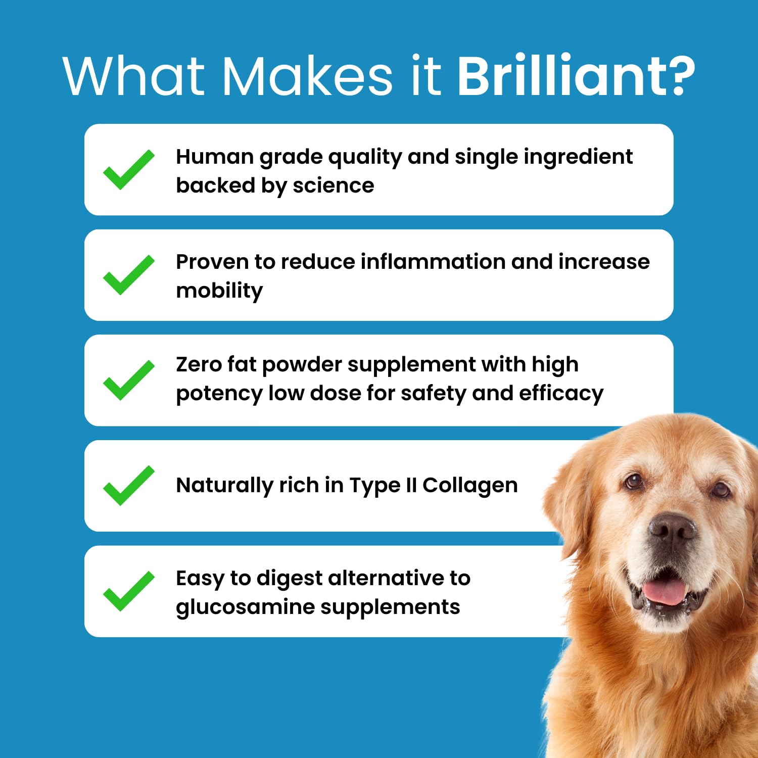Hofseth BioCare Brilliant Bone & Joint Supplement for Dogs - High Strength Calcium & Collagen Powder for Joint & Hip Support, Essential Supplement for Dog’s of All Ages - 10.6 Oz - TrustMedUSA