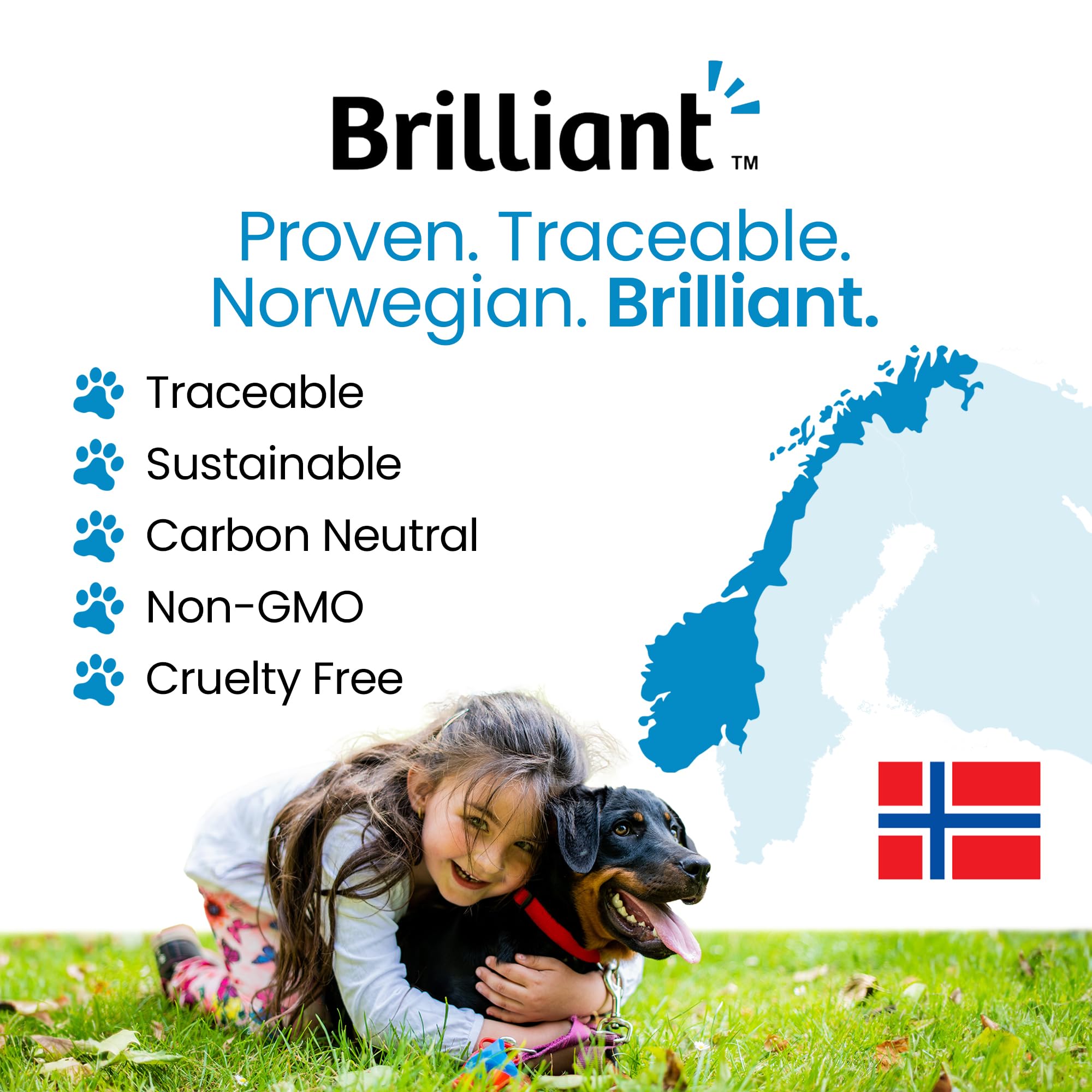 Hofseth BioCare Brilliant Bone & Joint Supplement for Dogs - High Strength Calcium & Collagen Powder for Joint & Hip Support, Essential Supplement for Dog’s of All Ages - 10.6 Oz - TrustMedUSA