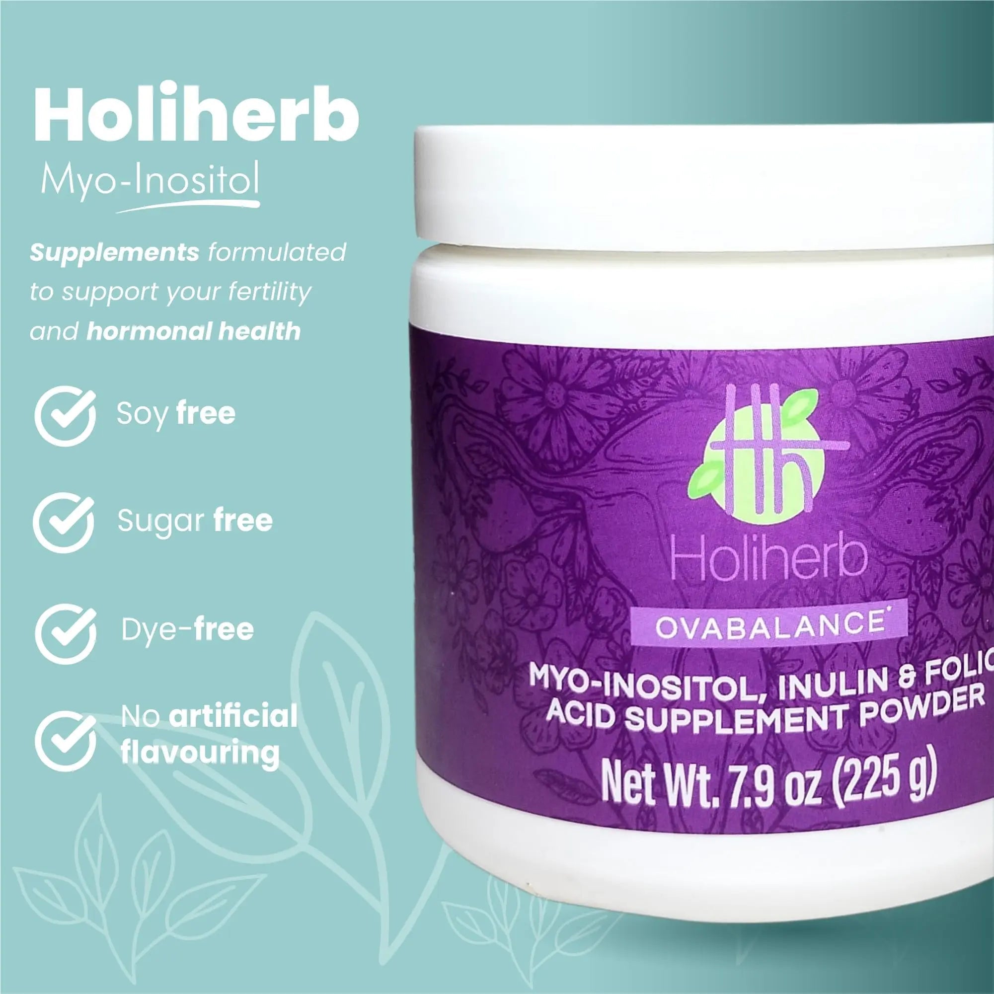 Holiherb 4g Myo Inositol + Folic Acid - TrustMedUSA