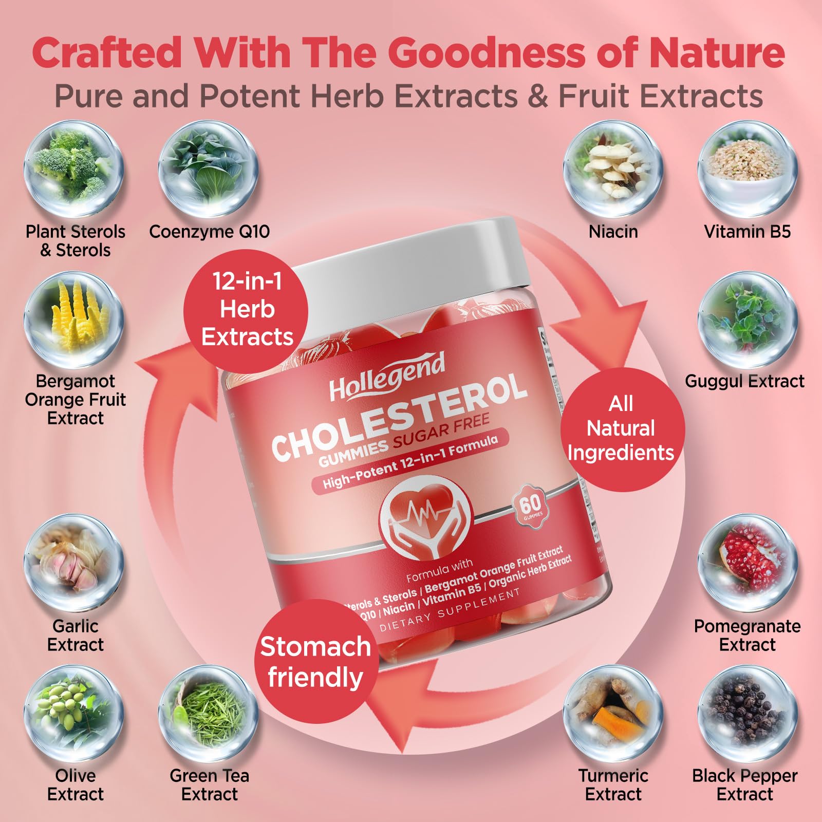 HOLLEGEND Cholesterol Gummies Sugar-Free,12-in-1 Cholesterol Supplements with Plant Sterols,Citrus Bergamot,CoQ10 and Vitamins for Cholesterol Health, Vegan, Mixed Berry Flavor, 60 Counts - TrustMedUSA