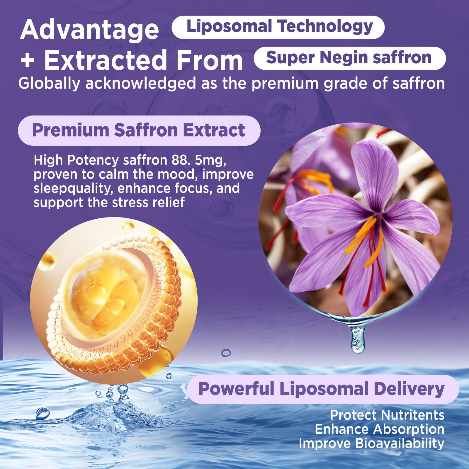 HOLLEGEND Liposomal Saffron Drops for Kids & Adults, Organic Saffron Supplement w/Magnesium, L-Theanine and Vitamins for Stress, Focus, Vision and Energy Support, Vegan, Natural Lemon Flavor, 2 FL OZ - TrustMedUSA