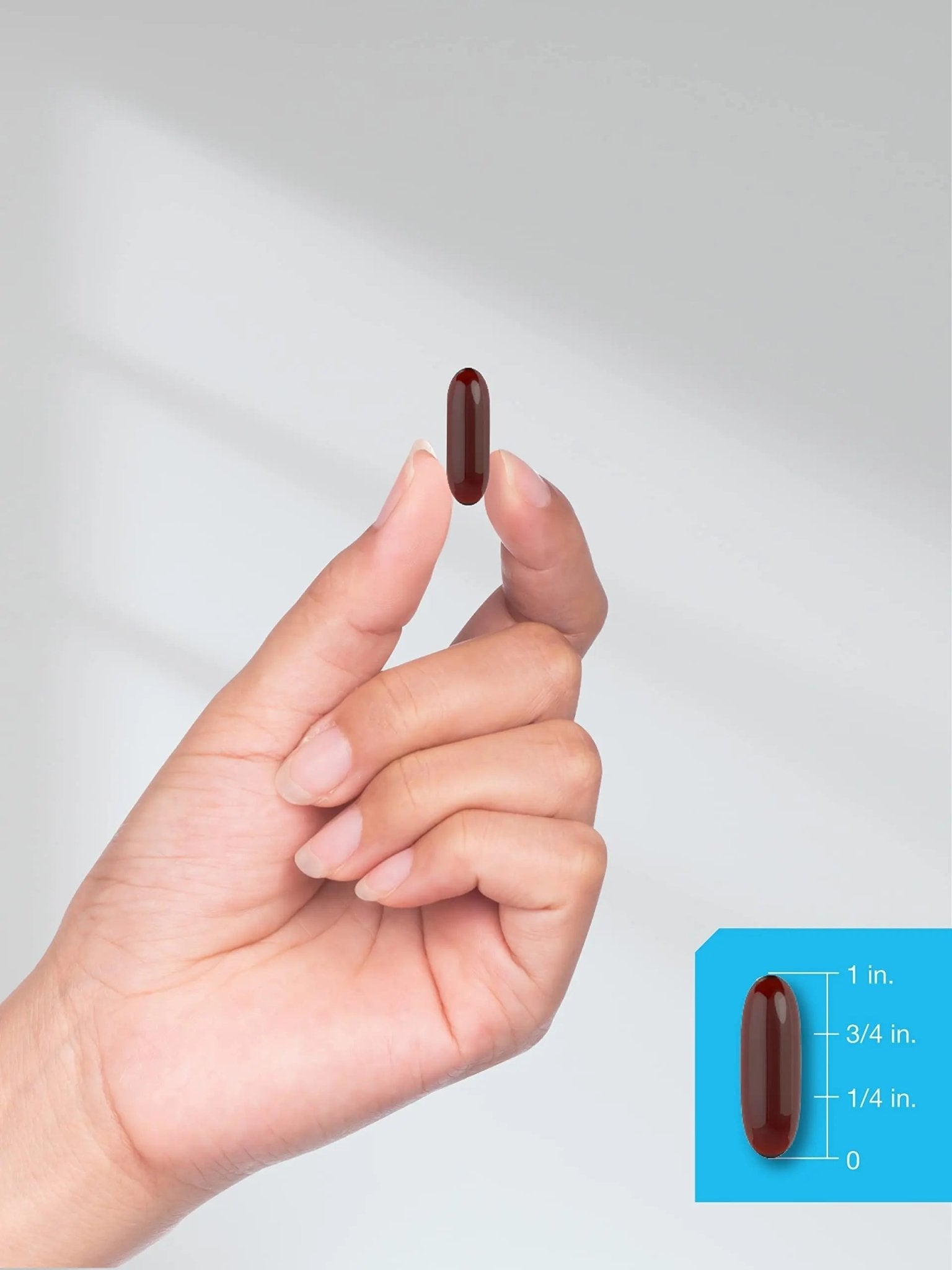 Horbäach Antarctic Krill Oil 2000mg | 60 Softgel Capsules | Omega-3, EPA, DHA Supplemen - TrustMedUSA