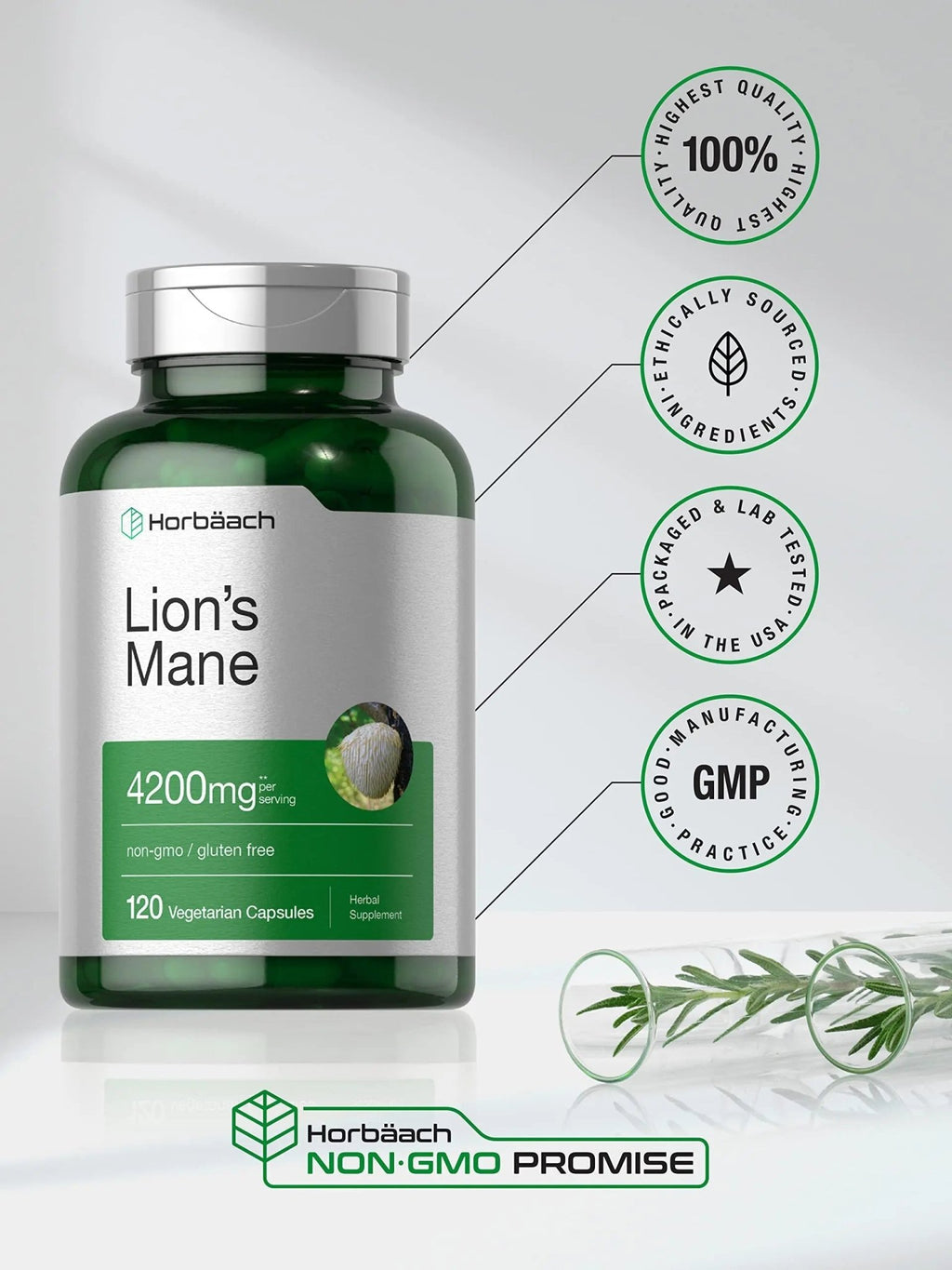 Horbäach Lions Mane Mushroom Extract | 4200mg | 120 Capsules | Vegetarian - TrustMedUSA
