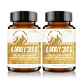 HPD Rx Premium Organic Cordyceps Mushroom Extract Performance , Pack of 2 - TrustMedUSA
