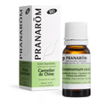 Huile essentielle Cannelier de Chine (Cannelle) BIO 10 ml PRANAROM - TrustMedUSA