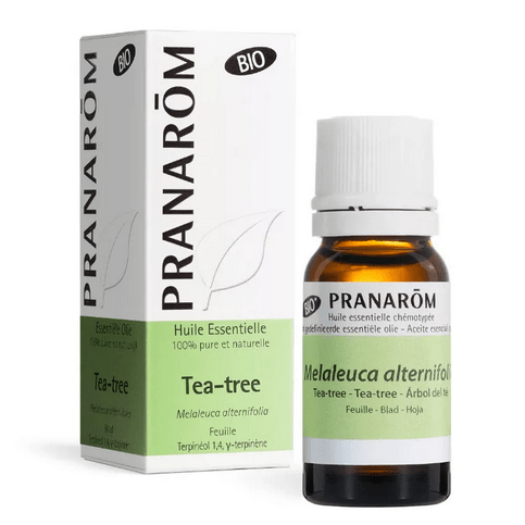 Huile essentielle Tea Tree BIO (Melaleuca alternifolia) 10 ml PRANAROM - TrustMedUSA