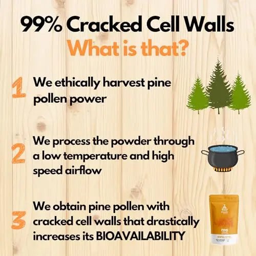 HYBRID HERBS - PINE POLLEN | 99% Cracked Cell Wall Powder | Highly Bioavailable - TrustMedUSA