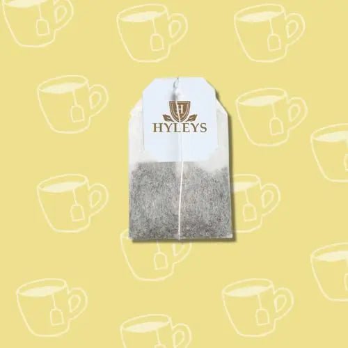 Hyleys Tea Moringa Oleifera with Mango Flavor - 50 Tea Bags (6 Pack - 300 Tea Bags total) (Miracle Tree Tea) - TrustMedUSA