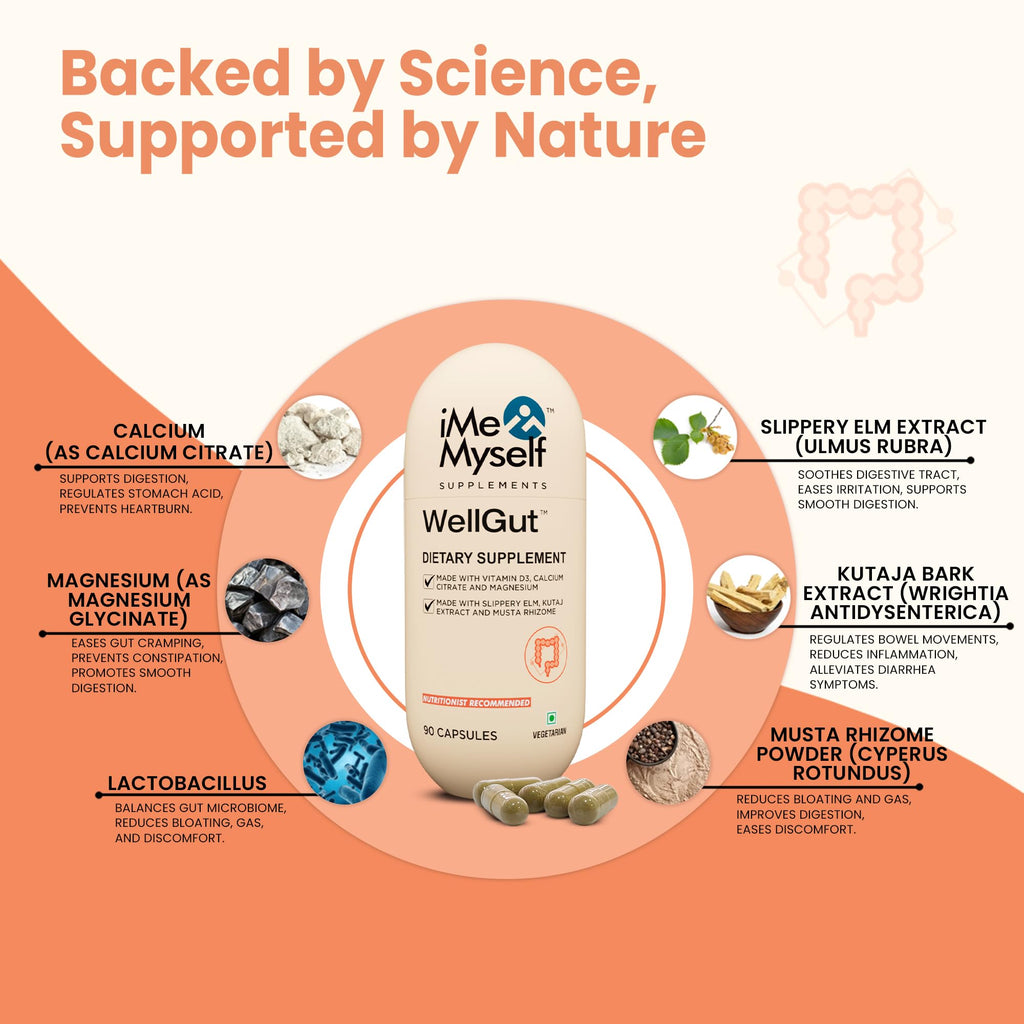 iMeMyself WellGut Daily Herbal Supplement | Traditional Herbs with Minerals & Probiotics 90 Vegan Capsules - TrustMedUSA