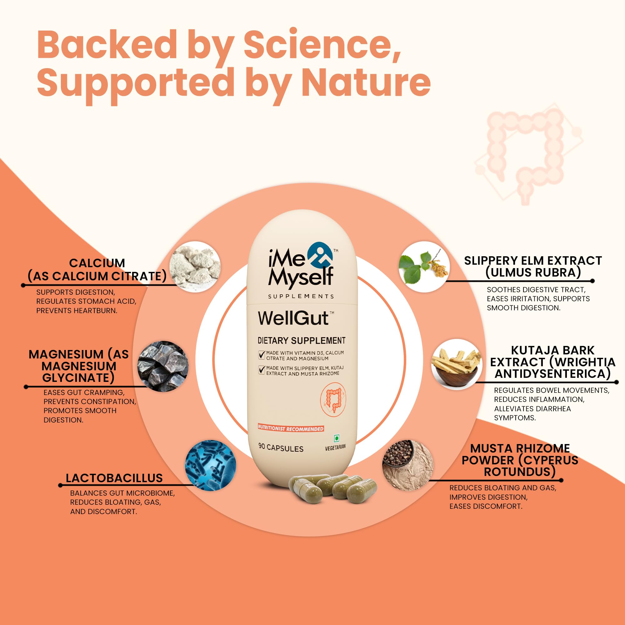 iMeMyself WellGut Daily Herbal Supplement | Traditional Herbs with Minerals & Probiotics 90 Vegan Capsules - TrustMedUSA