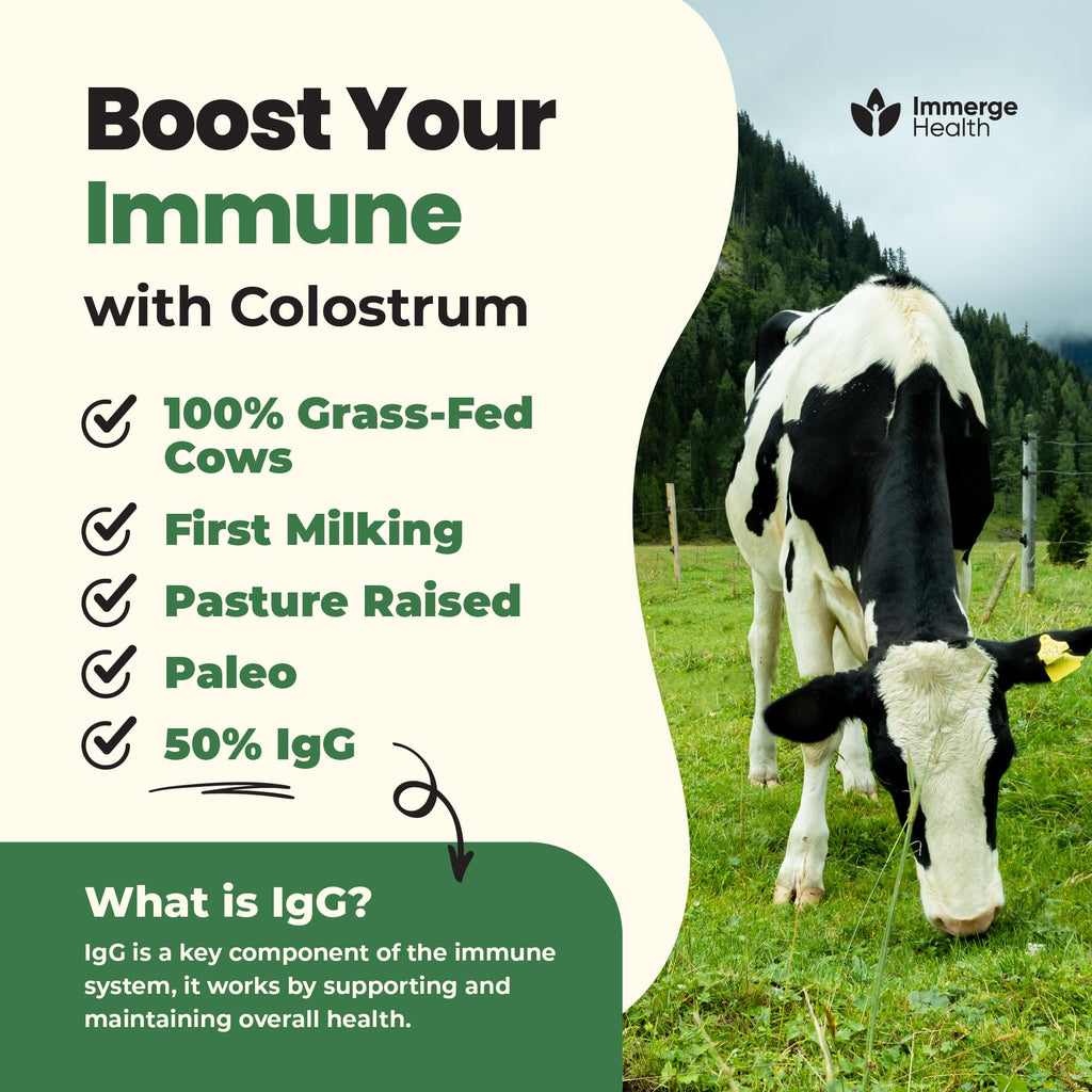 Immerge Health Super Colostrum Powder (60 Servings) – Premium Bovine Colostrum Supplement for Gut Health, Bloating & Immune Support – High IgG, 100% Grass Fed First Milking, Unflavored, Made in USA - TrustMedUSA