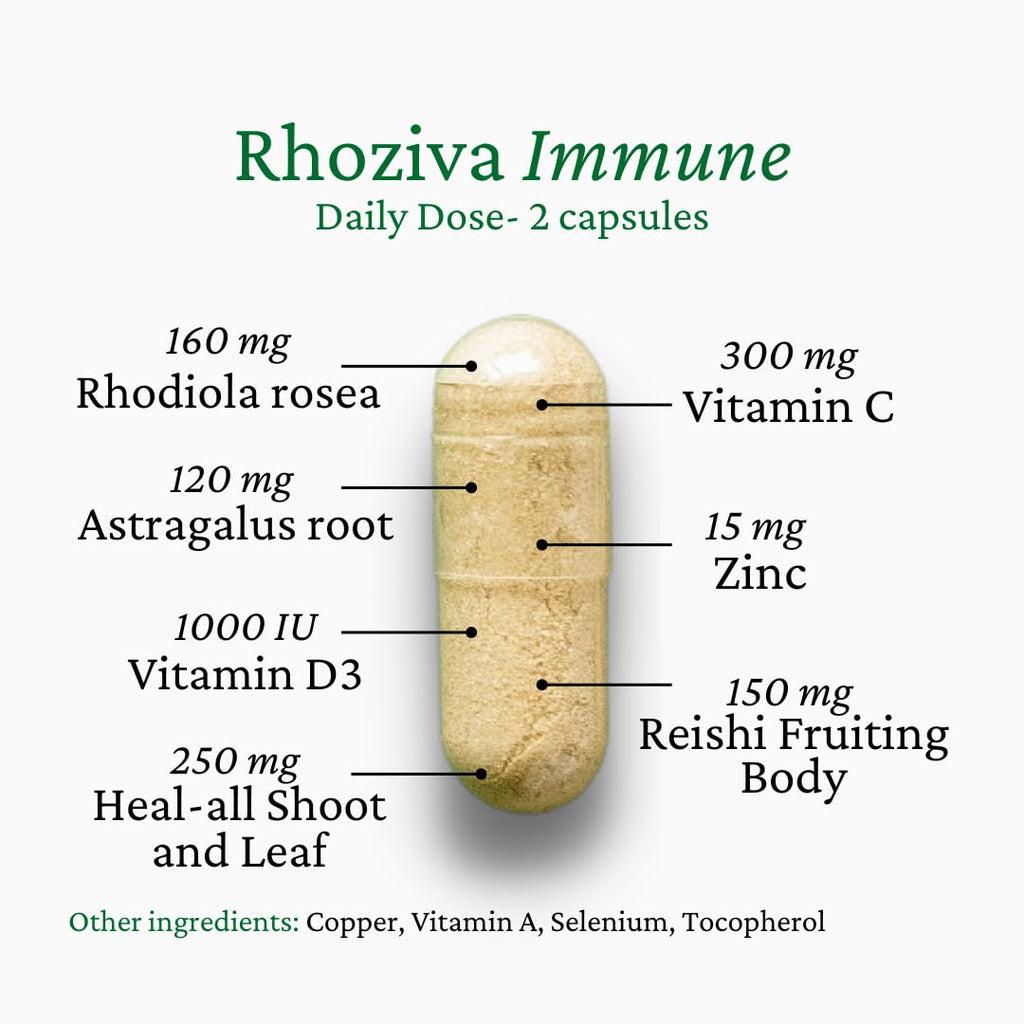 Immune Support, Energy Booster with Vitamin C, D3 and Zinc Supplement, Rhodiola Rosea, Reishi Mushroom Extract, Astragalus, Overall Wellness and Daily Habit - 60 Capsules - TrustMedUSA