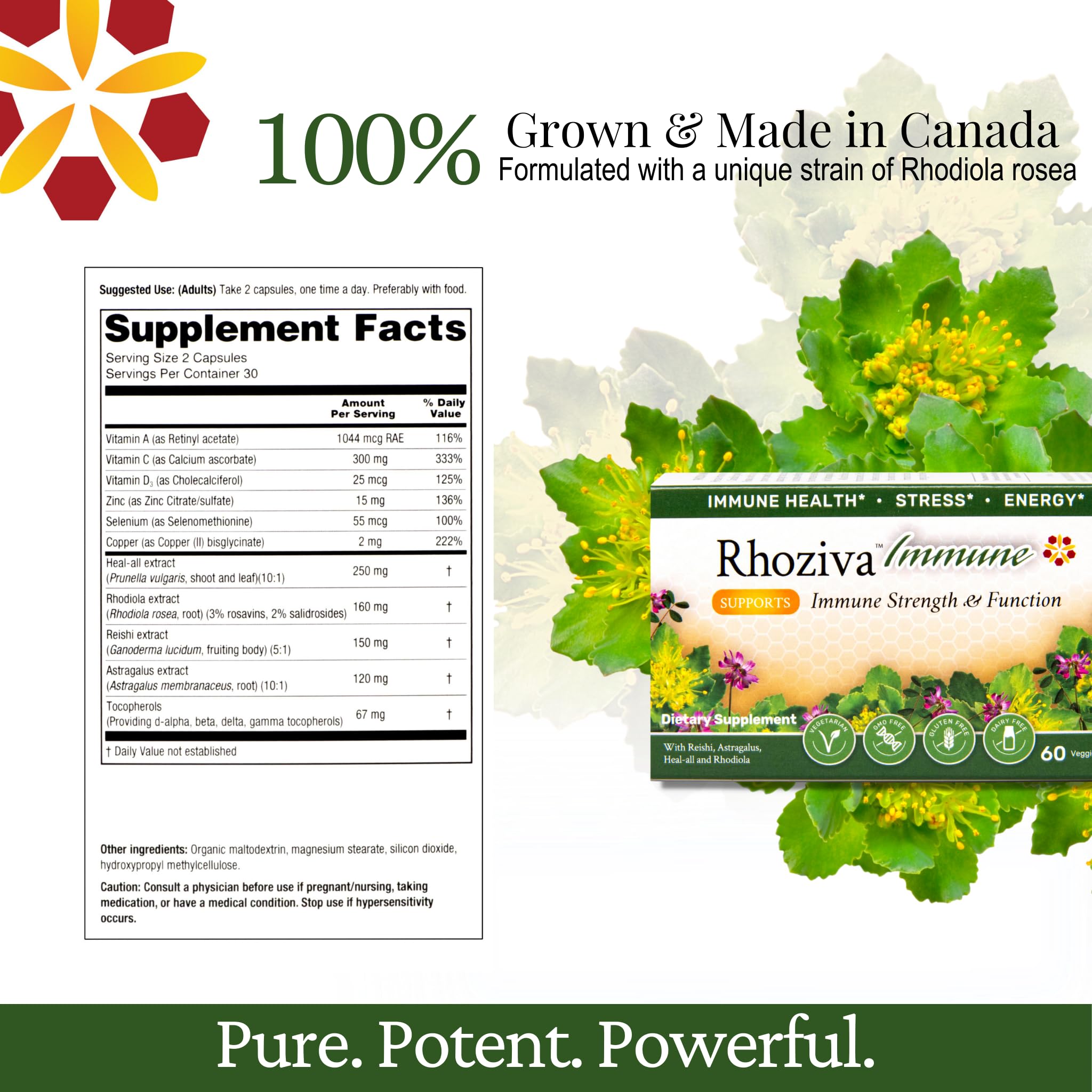 Immune Support, Energy Booster with Vitamin C, D3 and Zinc Supplement, Rhodiola Rosea, Reishi Mushroom Extract, Astragalus, Overall Wellness and Daily Habit - 60 Capsules - TrustMedUSA