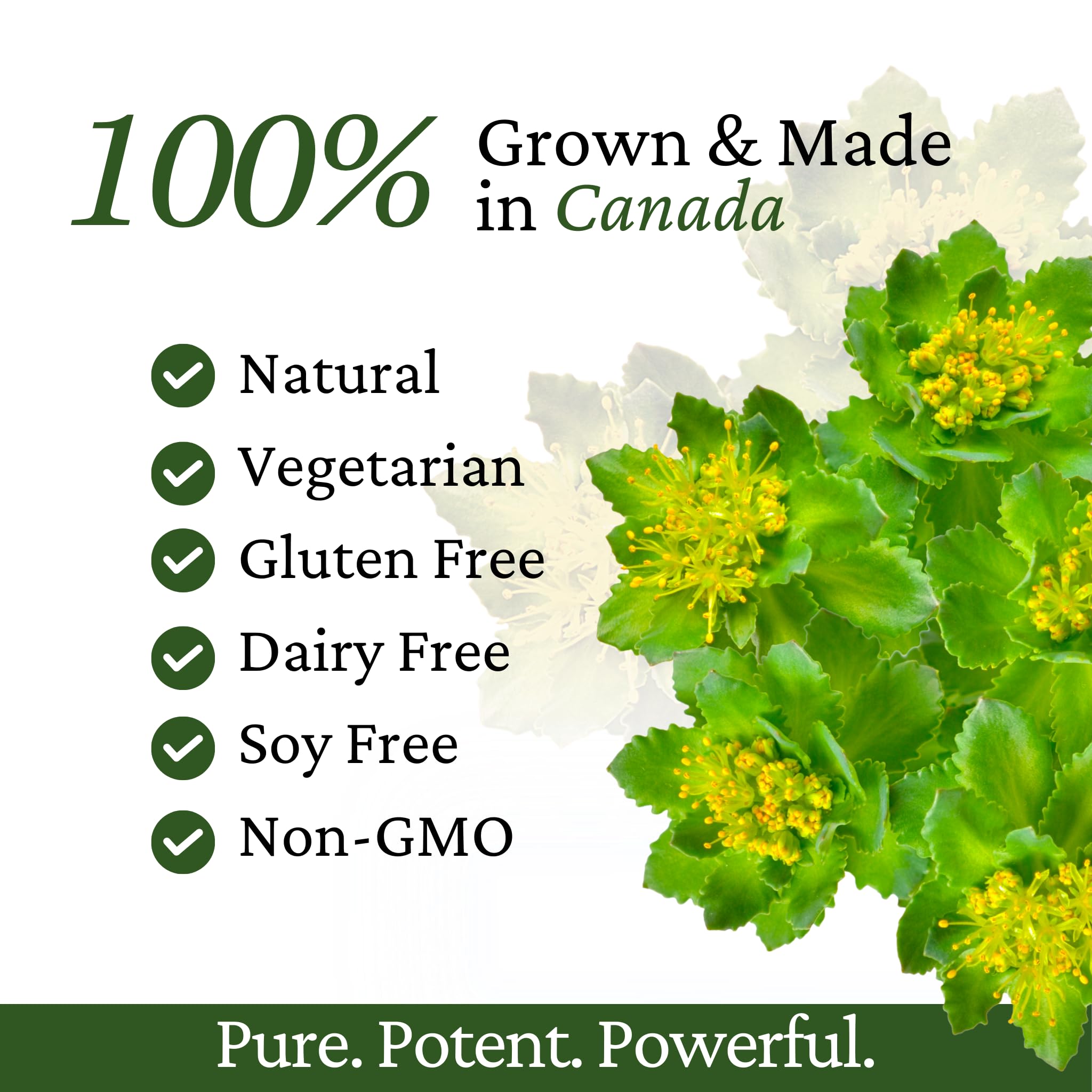 Immune Support, Energy Booster with Vitamin C, D3 and Zinc Supplement, Rhodiola Rosea, Reishi Mushroom Extract, Astragalus, Overall Wellness and Daily Habit - 60 Capsules - TrustMedUSA