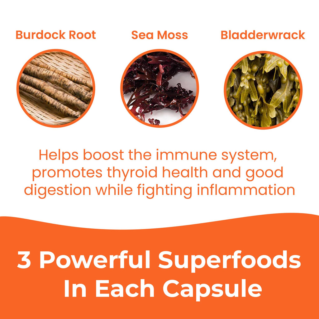 INFINITE AGE 1250mg Sea Moss Advanced Superfood Capsules, 60 Count - High-Potency, Vegan, Made in The USA - Irish Seamoss, Bladderwrack, - TrustMedUSA