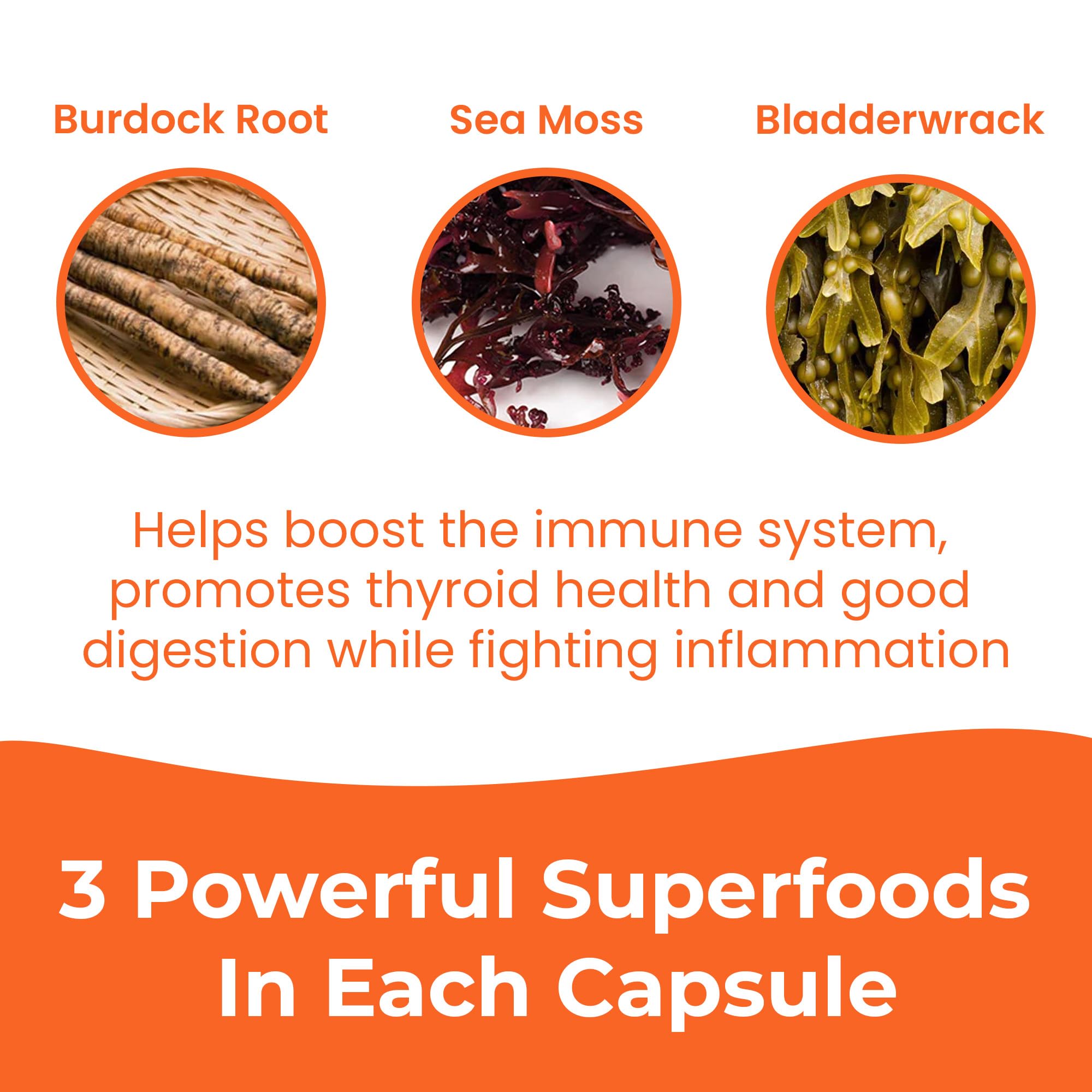 INFINITE AGE 1250mg Sea Moss Advanced Superfood Capsules, 60 Count - High-Potency, Vegan, Made in The USA - Irish Seamoss, Bladderwrack, - TrustMedUSA