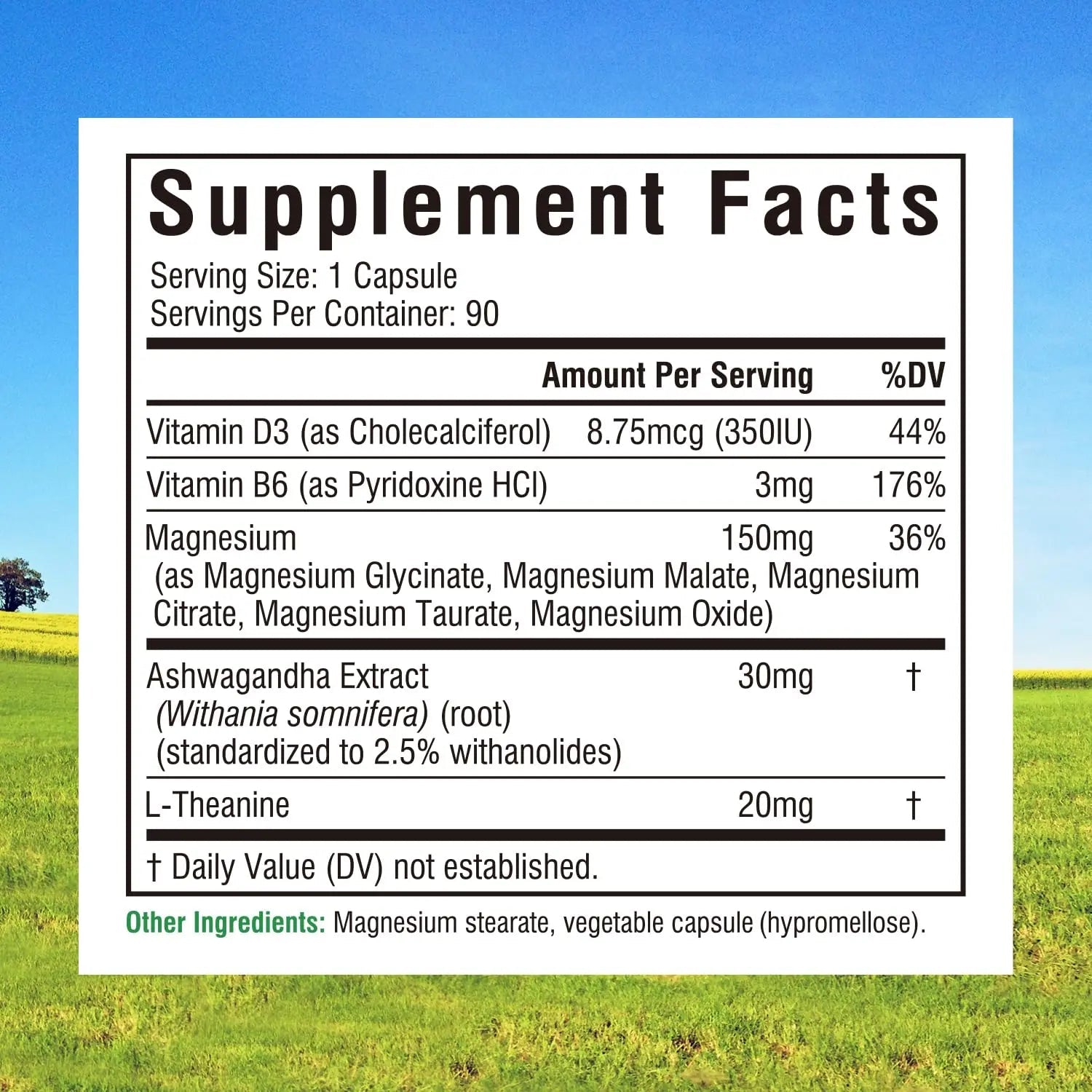 Innate Vitality Magnesium Complex, Magnesium Glycinate Citrate Malate Taurate with Ashwagandha L-Theanine Vitamin D3 & B6, High Absorption, Full Spectrum, Bones Stress Sleep Support, 90 caps - TrustMedUSA