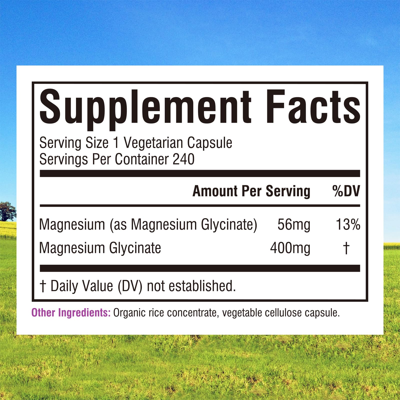 Innate Vitality Magnesium Glycinate 400mg, Non Buffered & High Absorption Magnesium Supplement for Sleep, Relaxation, Heart & Bone Health for Men & Women, Non-GMO, No Gluten, 240 Vegan Capsules - TrustMedUSA
