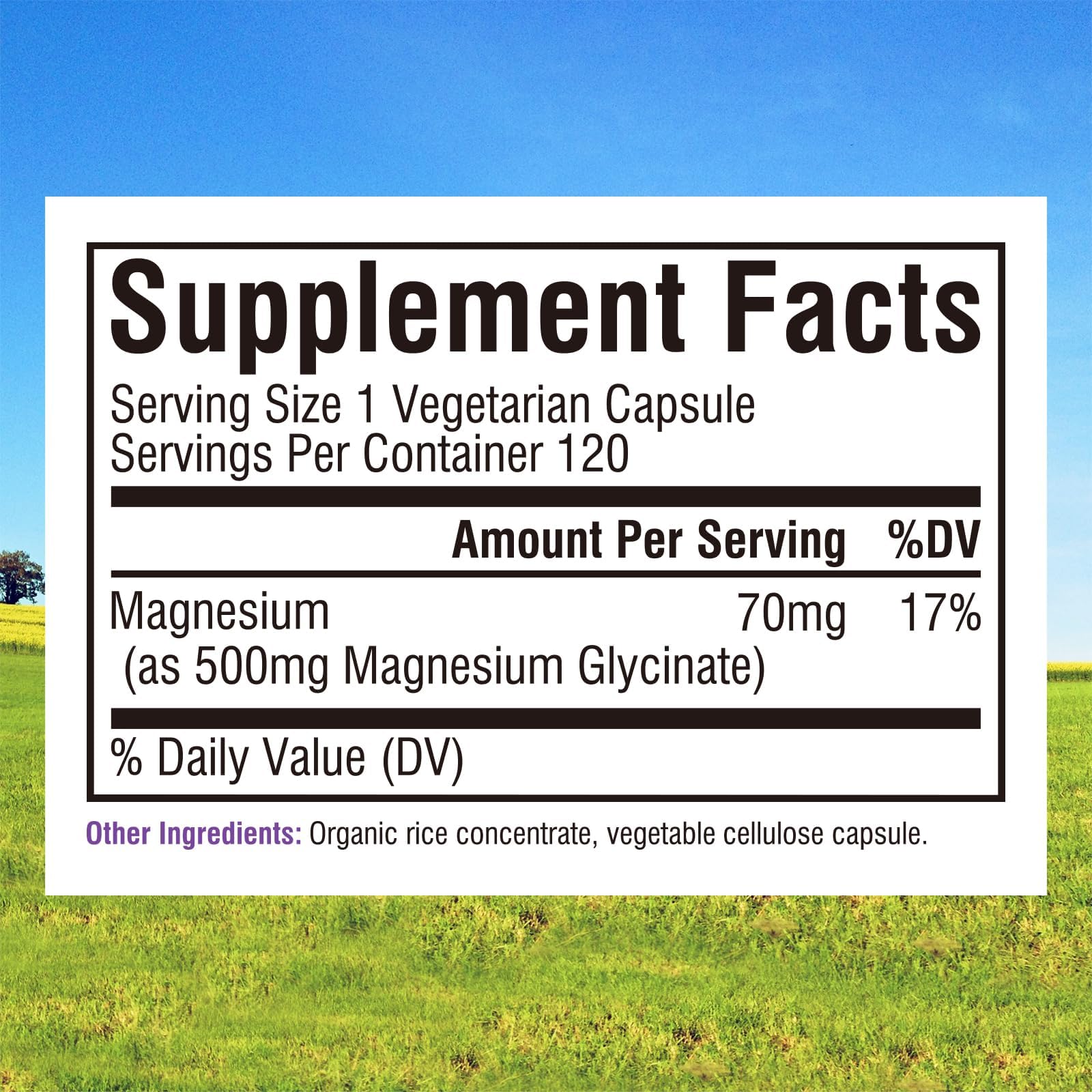 Innate Vitality Magnesium Glycinate 500mg | 70mg Elemental Magnesium Supplement - High Absorption, Non Buffered, Non-GMO & No Gluten - Vegan - Nerve Health - 120 Capsules (Pack of 1) - TrustMedUSA
