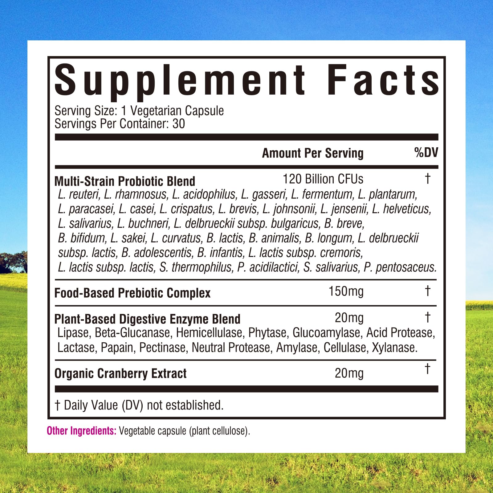 Innate Vitality Women's Probiotics, 120 Billion CFU, 32 Tested Strains, Probiotics for Women, Yeast Control, Vaginal pH Support, Prebiotics, Digestive Enzymes, Cranberry, Once Daily 30 Veggie Capsules - Maple Wellness Supplements