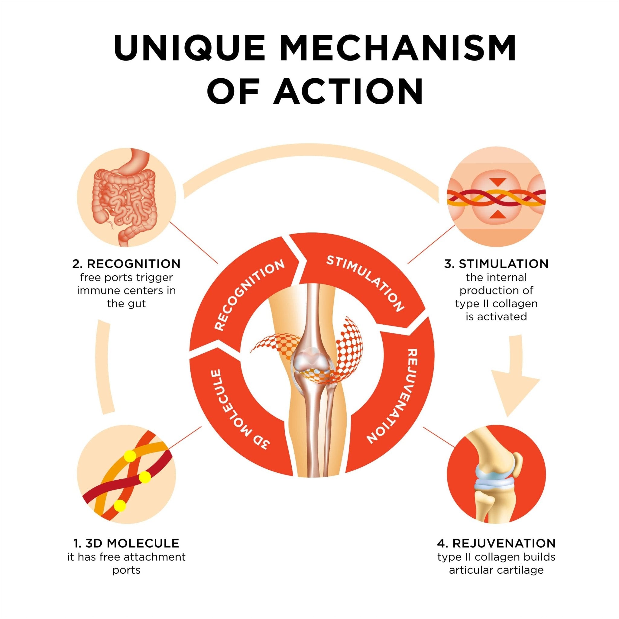 Innovation in The Care of Healthy Joints – Liquid Formula in a Double Capsule. 3D Collagen + Micelle Extract of Turmeric Roots 1 Capsule/Day. Laboratory Tested - TrustMedUSA