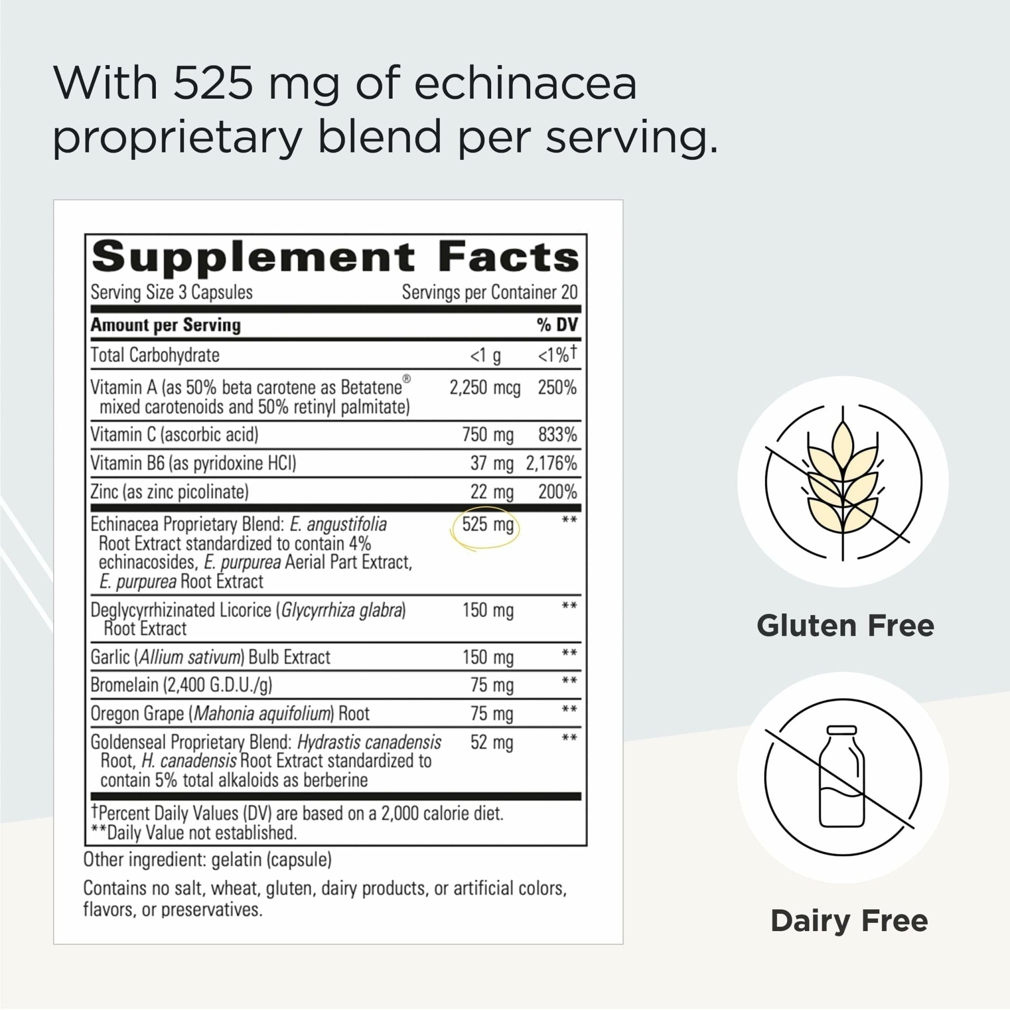 Integrative Therapeutics EHB - Immune Support Supplement with Vitamins A, C & B6* - Mineral Support with Zinc - Dairy-Free & Gluten-Free - 60 Capsules (20 Servings) - TrustMedUSA