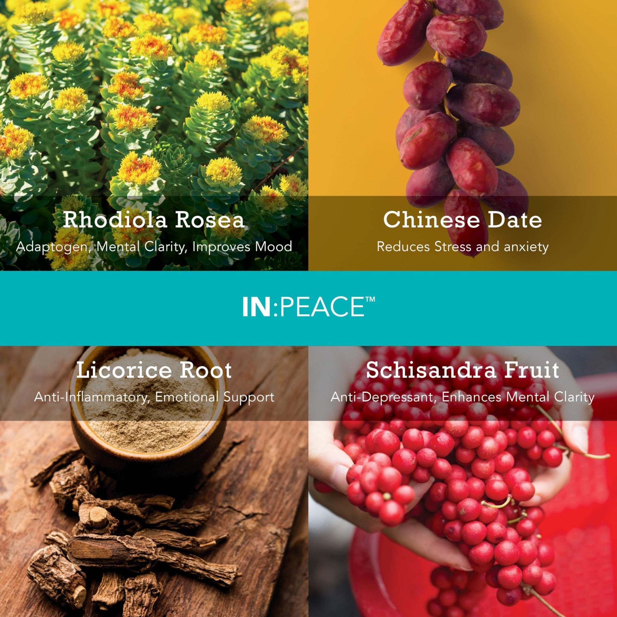 In:TotalWellness IN:Peace Herbal Calming Formula. 20 Serving Pouch, Wild Berry Flavor. 9 Herb Antioxidant + Adaptogen Blend. Clinically Proven Ingredients. Crafted by a Licensed Herbalist - TrustMedUSA