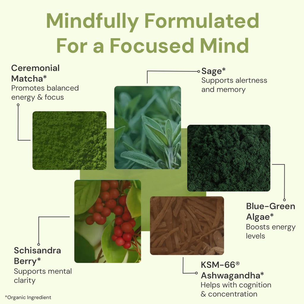 ION* Intelligence of Nature Focused Mind Nootropic Powder Drink Mix - Brain Boost Nootropic Drink with Matcha for Memory, Focus & Relaxation, Brain Supplement for Men & Women, Adults - 20 Packets - TrustMedUSA