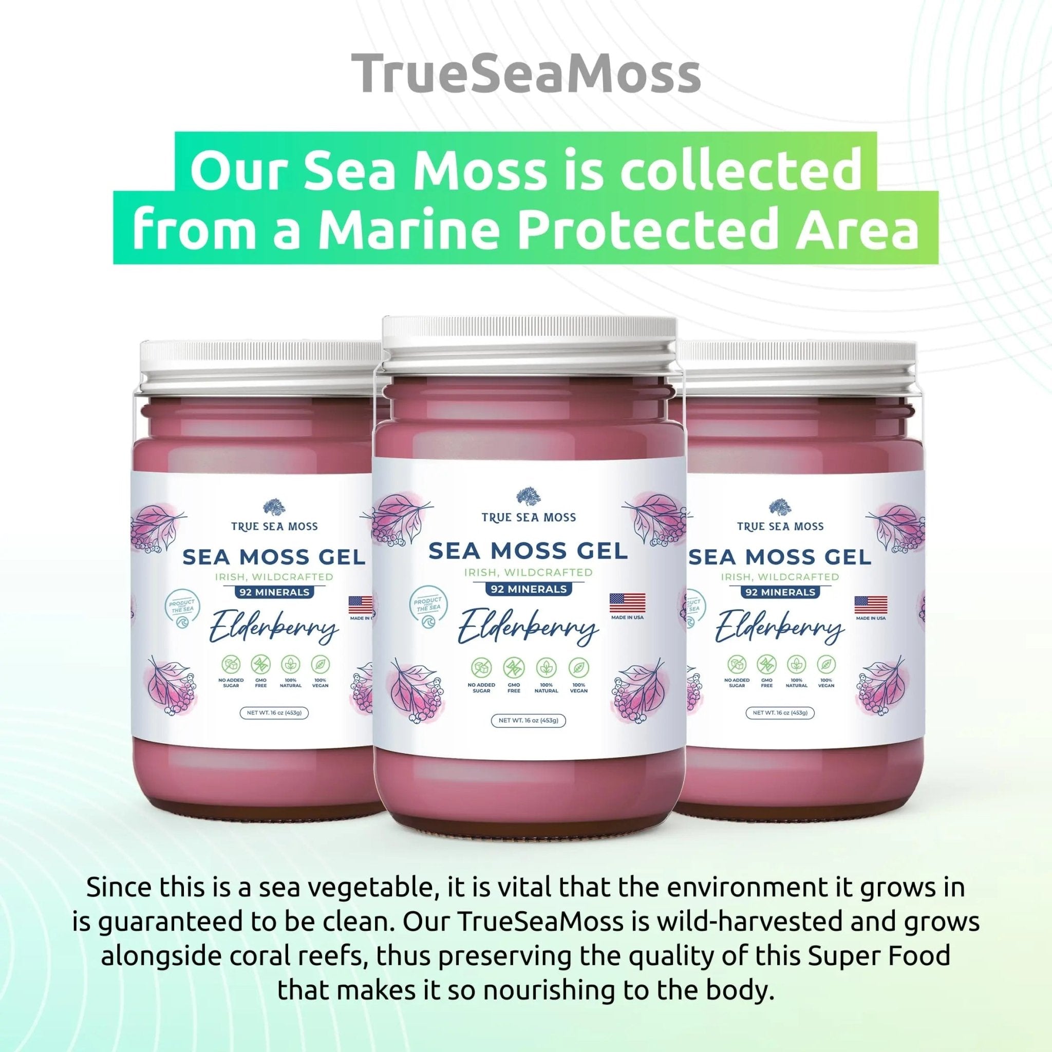 Irish Sea Moss Gel - TrustMedUSA