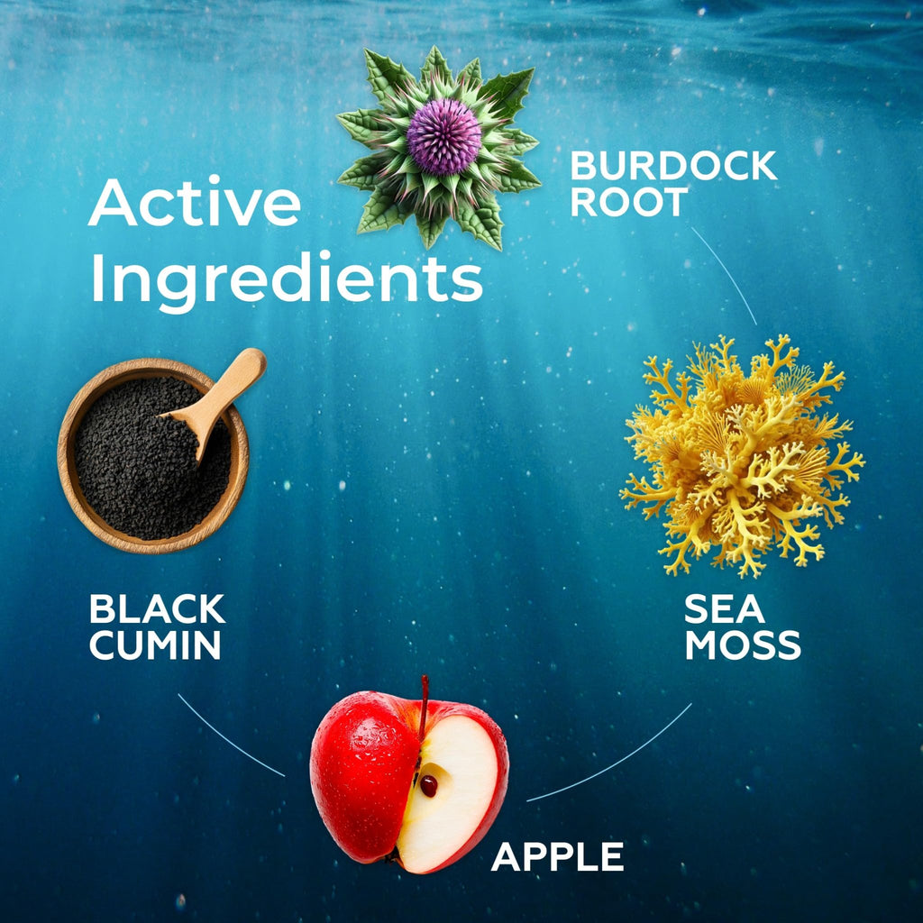 Irish Sea Moss Liquid Drops - 3000mg Formula - with Bladderwrack, Burdock Root & Black Cumin Seed - Liquid Supplement - Apple Flavor - 2 Fl Oz (60ml) - TrustMedUSA