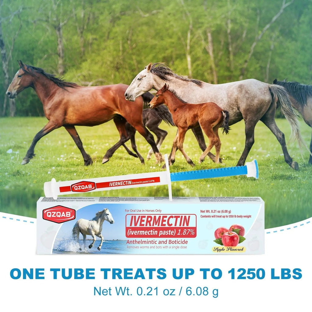 Ivermectin Horse Paste Dewormer , Horse Wormer Paste, Apple Flavor, 0.21 Ounces, 6 Pack - TrustMedUSA