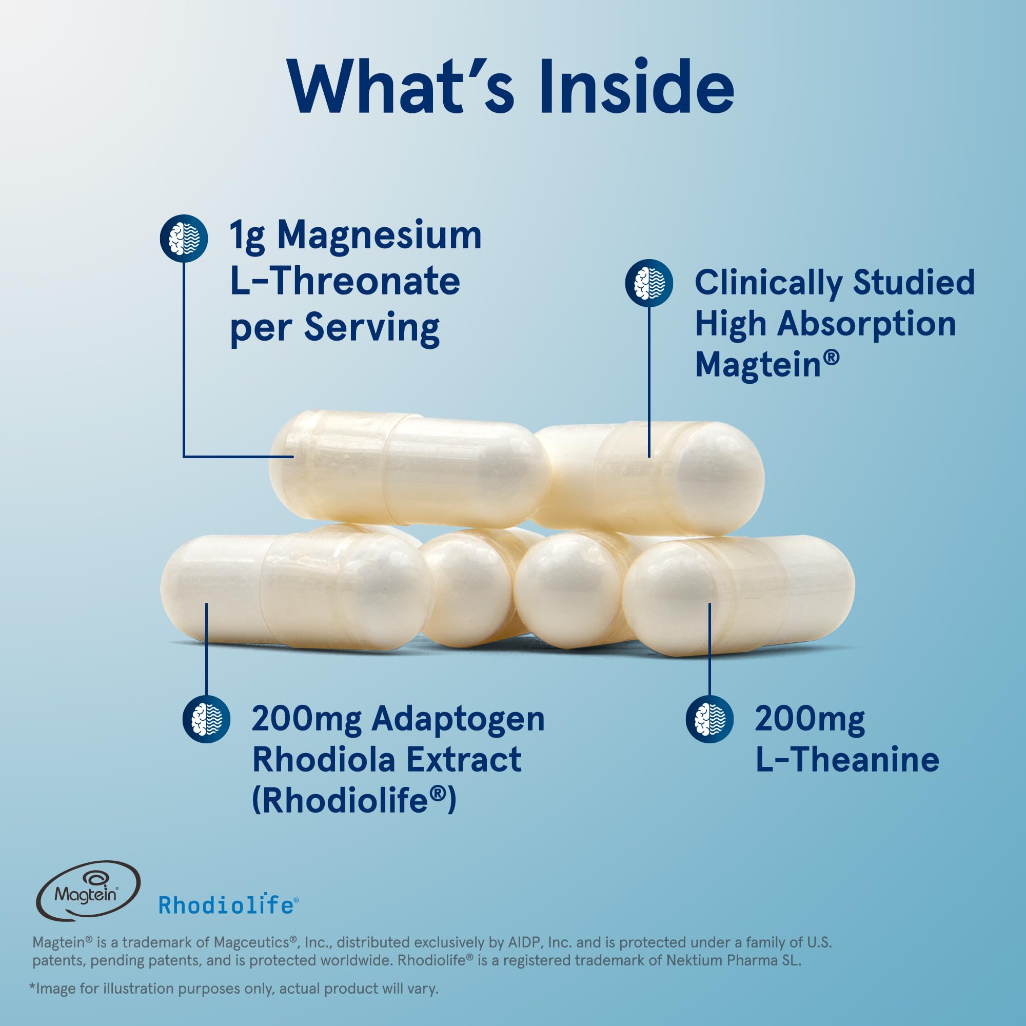 Jarrow Formulas Magnesium L-Threonate, MagMind Stress Resistance with L-Theanine and Rhodiolife, High Absorption Magnesium, Stress Relief and Mood Support, 60 Veggie Capsules, Up to a 30 Day Supply - TrustMedUSA