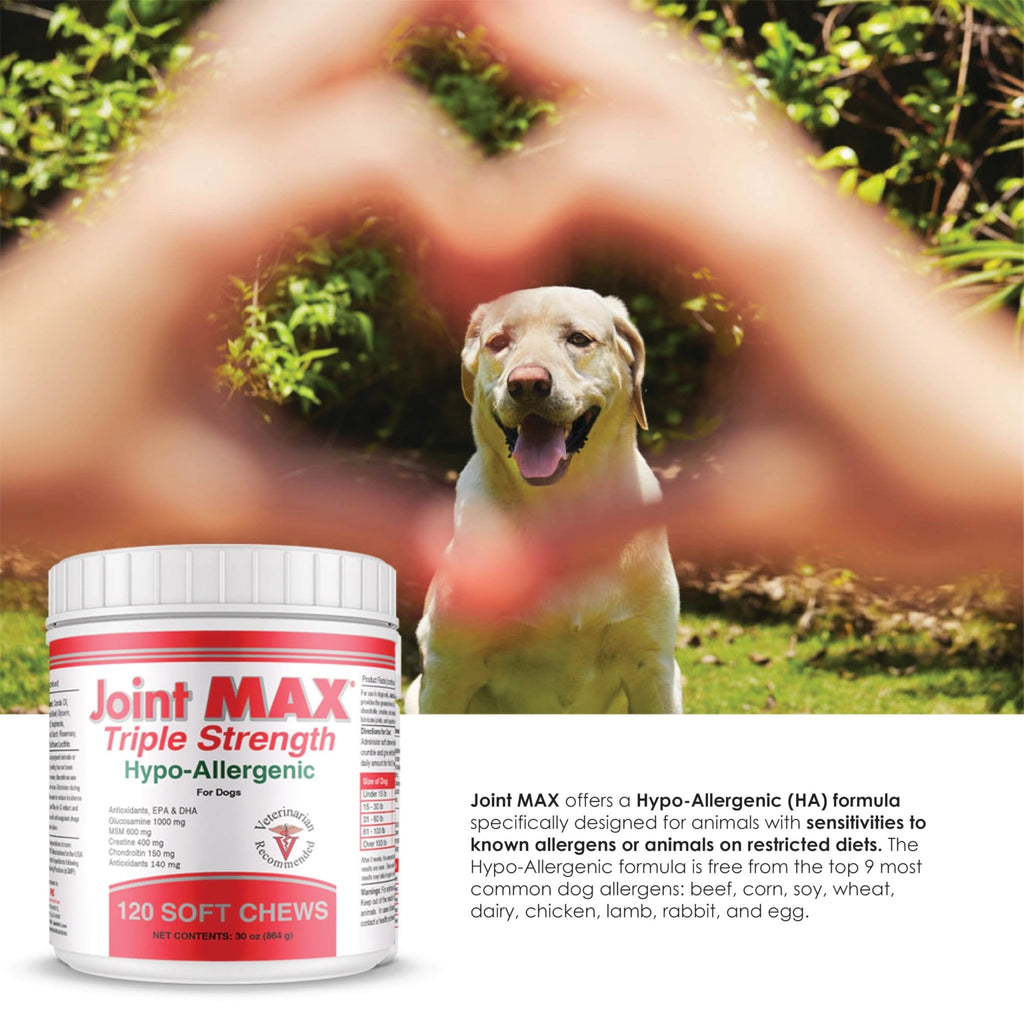 Joint MAX Triple Strength Hypo-Allergenic Soft Chews for Dogs - Hip and Joint Support Supplement with Glucosamine, Chondroitin, & MSM - Made in The USA - 120 Soft Chews - TrustMedUSA