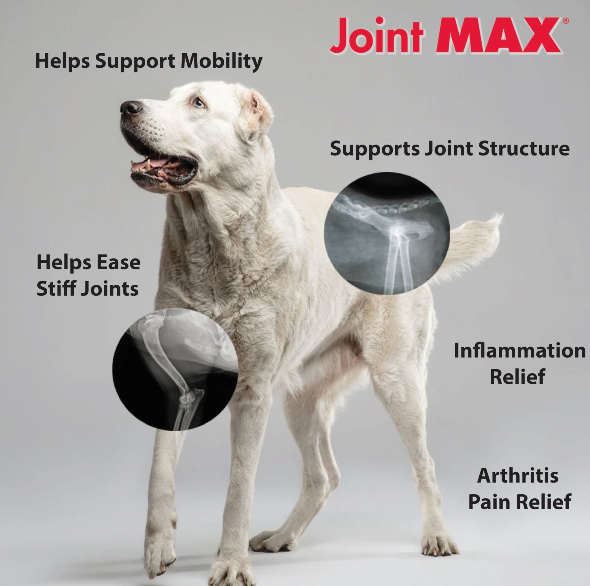 Joint MAX Triple Strength Hypo-Allergenic Soft Chews for Dogs - Hip and Joint Support Supplement with Glucosamine, Chondroitin, & MSM - Made in The USA - 120 Soft Chews - TrustMedUSA