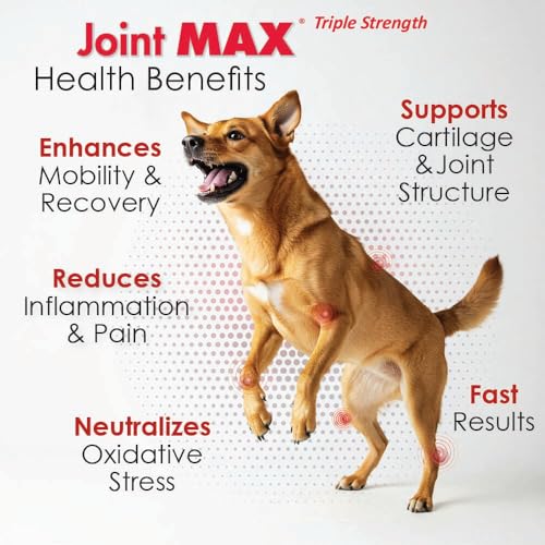 Joint Max TS Joint Supplement Vet Formulated Pain & Inflammation Relief Treats Hip Dysplasia & Arthritis, Glucosamine, Chondroitin, Turmeric, MSM, HA, Creatine, Omega 3 EPA + DHA.120 Soft Chews - TrustMedUSA