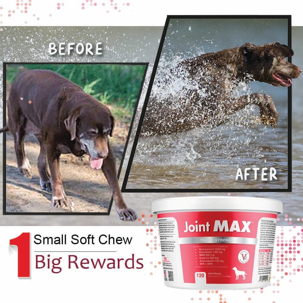 Joint Max TS Joint Supplement Vet Formulated Pain & Inflammation Relief Treats Hip Dysplasia & Arthritis, Glucosamine, Chondroitin, Turmeric, MSM, HA, Creatine, Omega 3 EPA + DHA.120 Soft Chews - TrustMedUSA