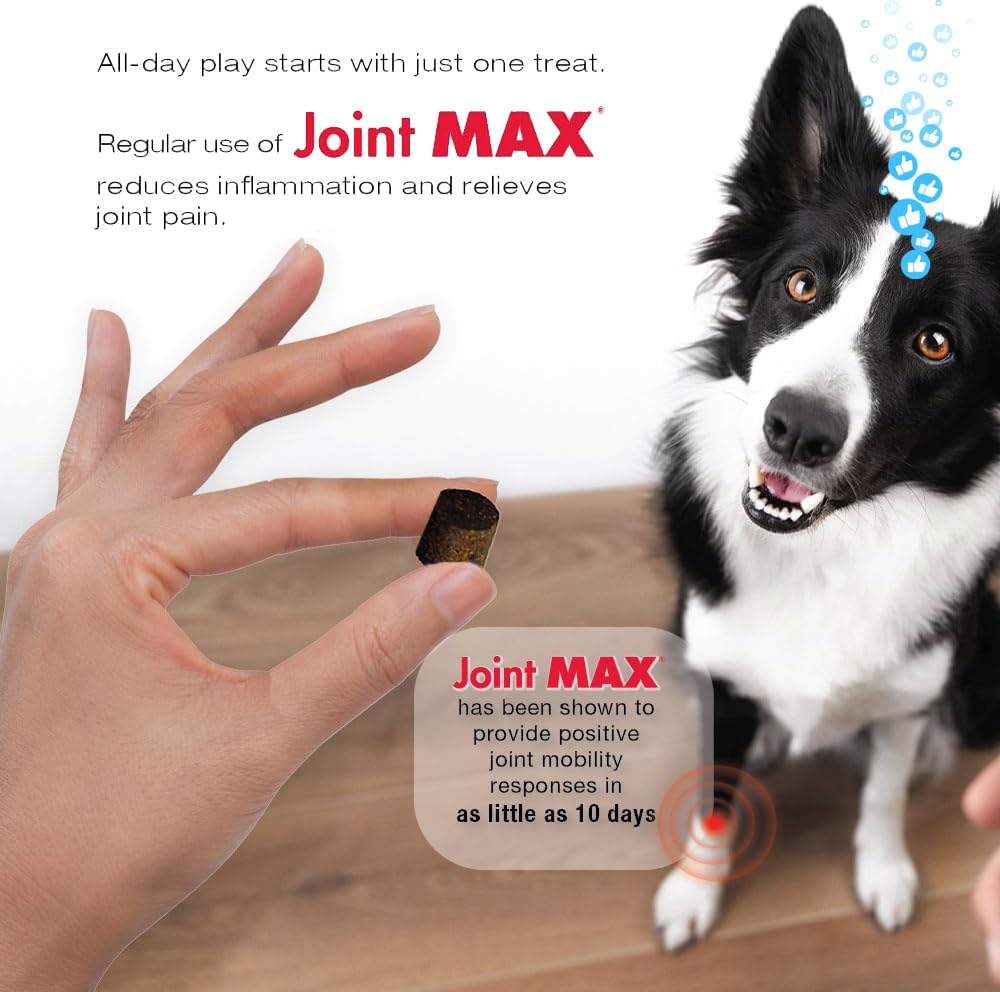 Joint Max TS Joint Supplement Vet Formulated Pain & Inflammation Relief Treats Hip Dysplasia & Arthritis, Glucosamine, Chondroitin, Turmeric, MSM, HA, Creatine, Omega 3 EPA + DHA.120 Soft Chews - TrustMedUSA