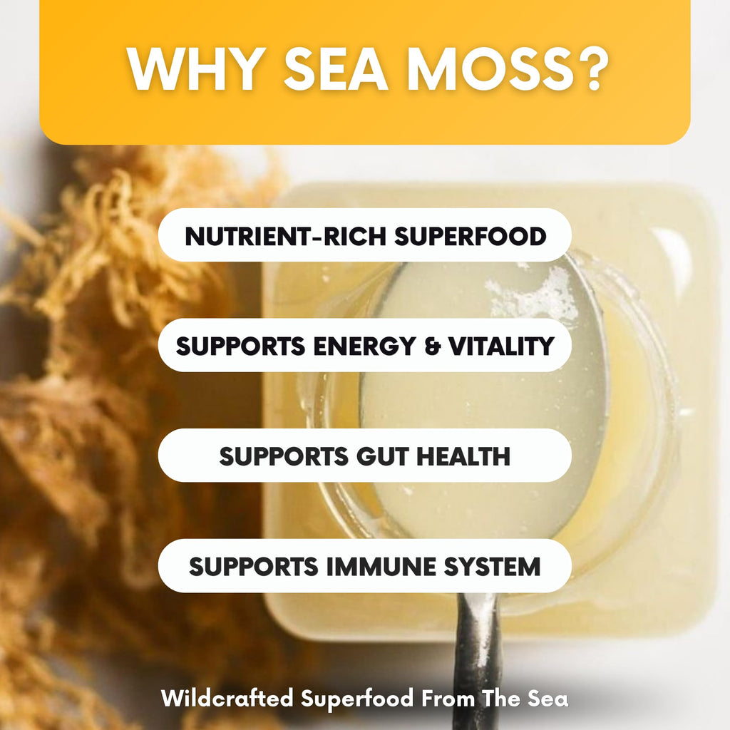 Joy Sea Moss Wildcrafted Irish Sea Moss Gel 16 oz | Made in USA | Gold Seamoss Superfood | Rich in Vitamins & Minerals | Real Fruit | Nutritional Supplement | Mango - TrustMedUSA