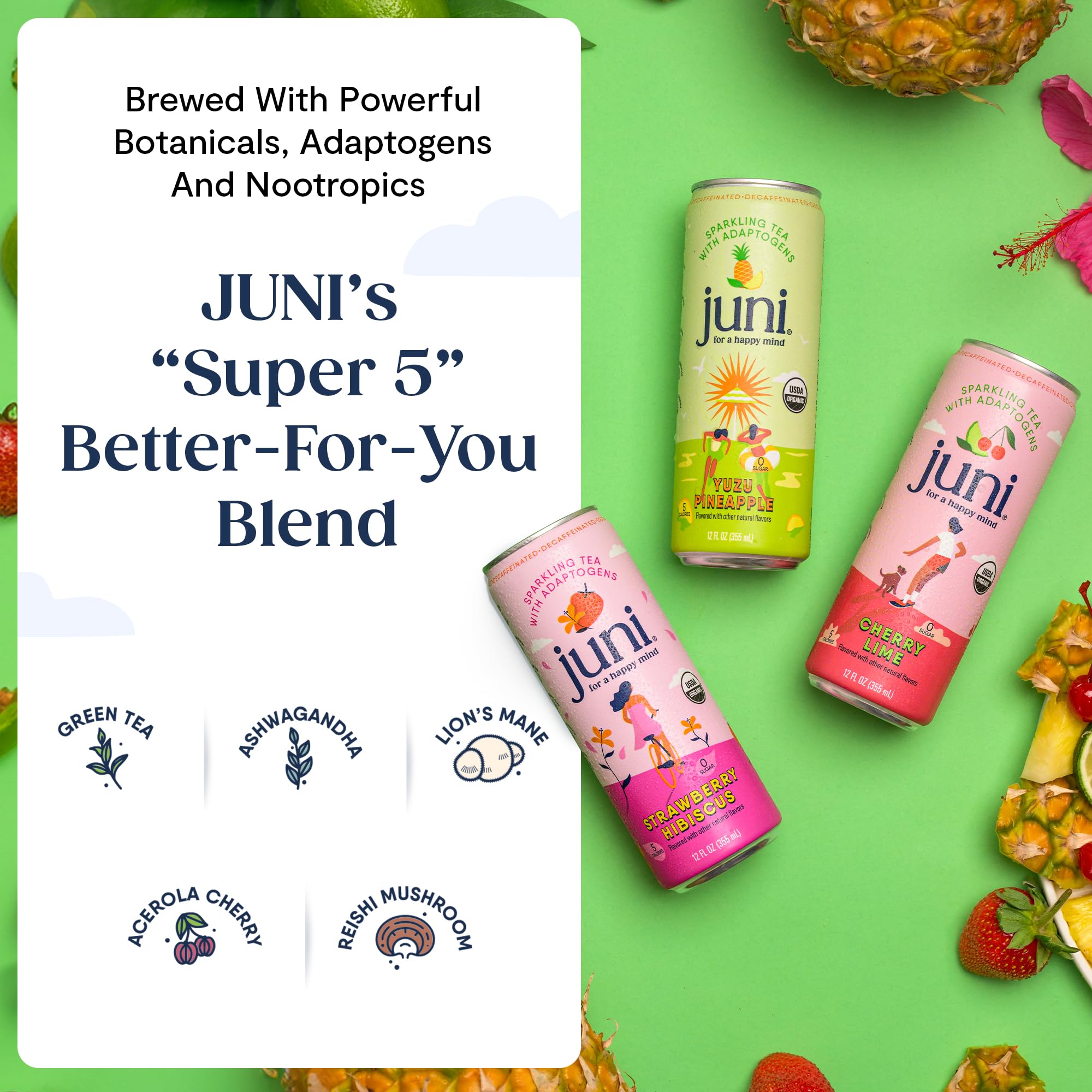 Juni Sparkling Adaptogen Drink with Ashwagandha, Lion’s Mane & Reishi Mushrooms | Green Tea for Focus, Zero Sugar, 5 Calories | Decaffeinated, Non Alcoholic Drinks - Strawberry Hibiscus 12 pack - Maple Wellness Supplements