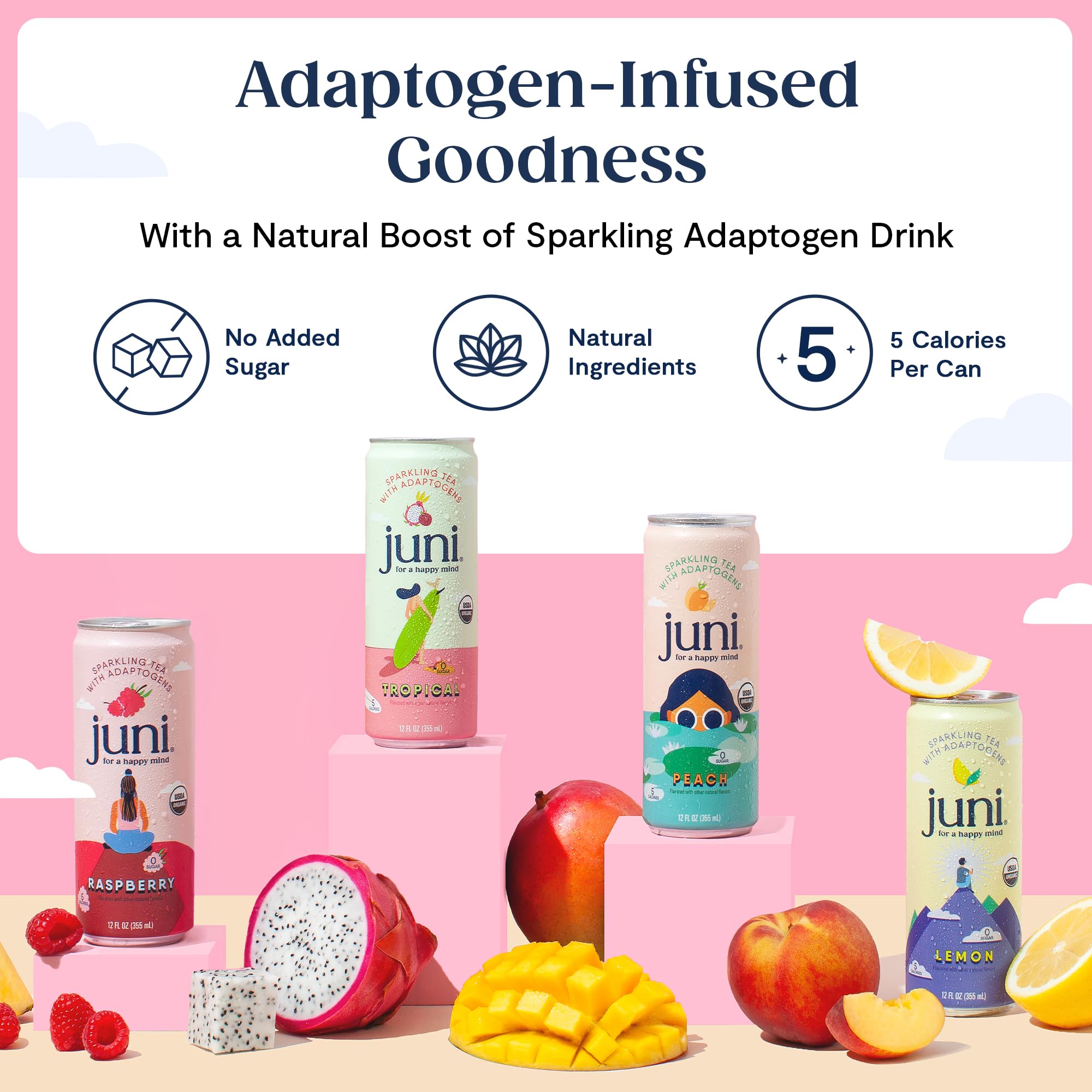 Juni Sparkling Adaptogen Drink with Ashwagandha, Lion’s Mane & Reishi Mushrooms | Green Tea for Focus, Zero Sugar, 5 Calories, Organic | Non Alcoholic Drinks - Raspberry 12 pack - Maple Wellness Supplements