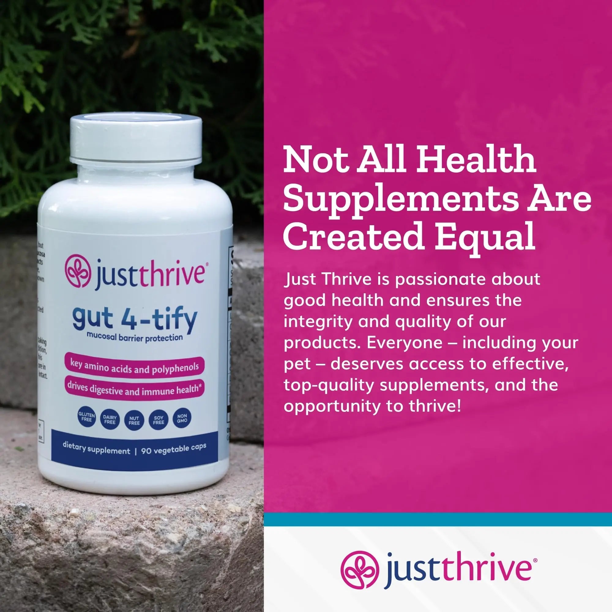 Just Thrive Gut 4-tify - Gut Health Supplements for Women and Men - Anti Bloat, 90 Vegetable Capsules - TrustMedUSA
